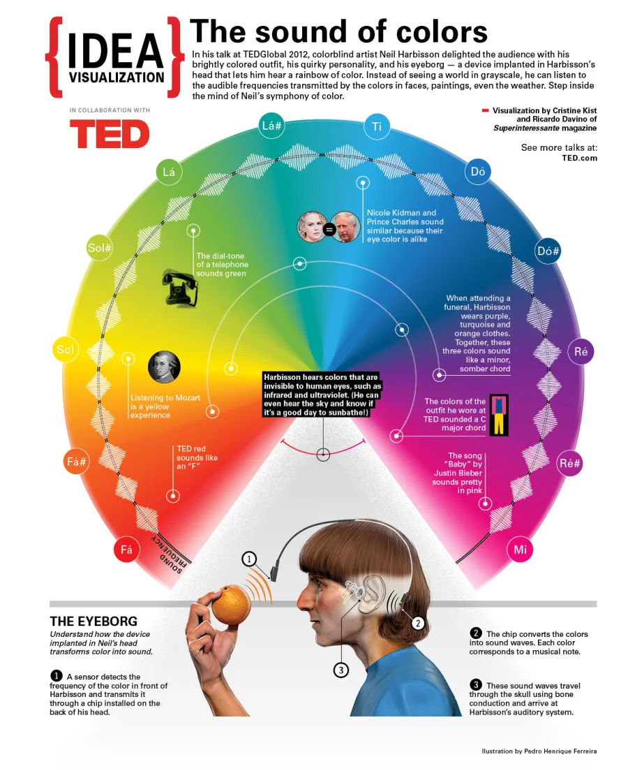 npr :
This week on the TED Radio Hour : Extrasensory. Color blind artist Neil Harbisson talks about how he implanted an eyeborg device to help him “hear” colors.
(Visualization by Superinteressante )