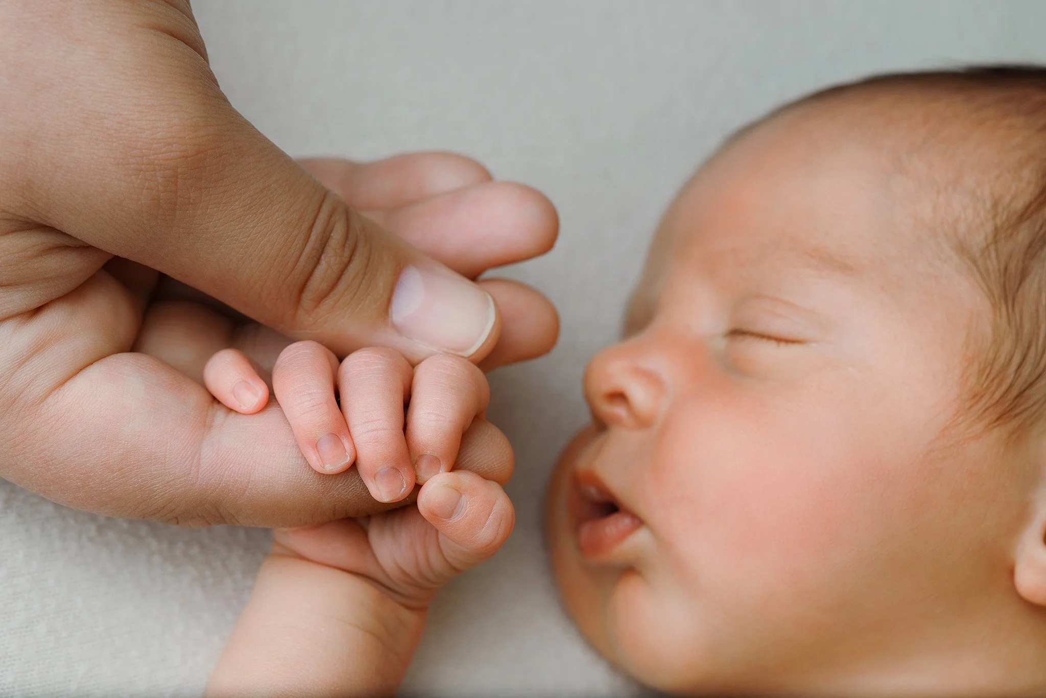 IMGL4877 websize.jpg