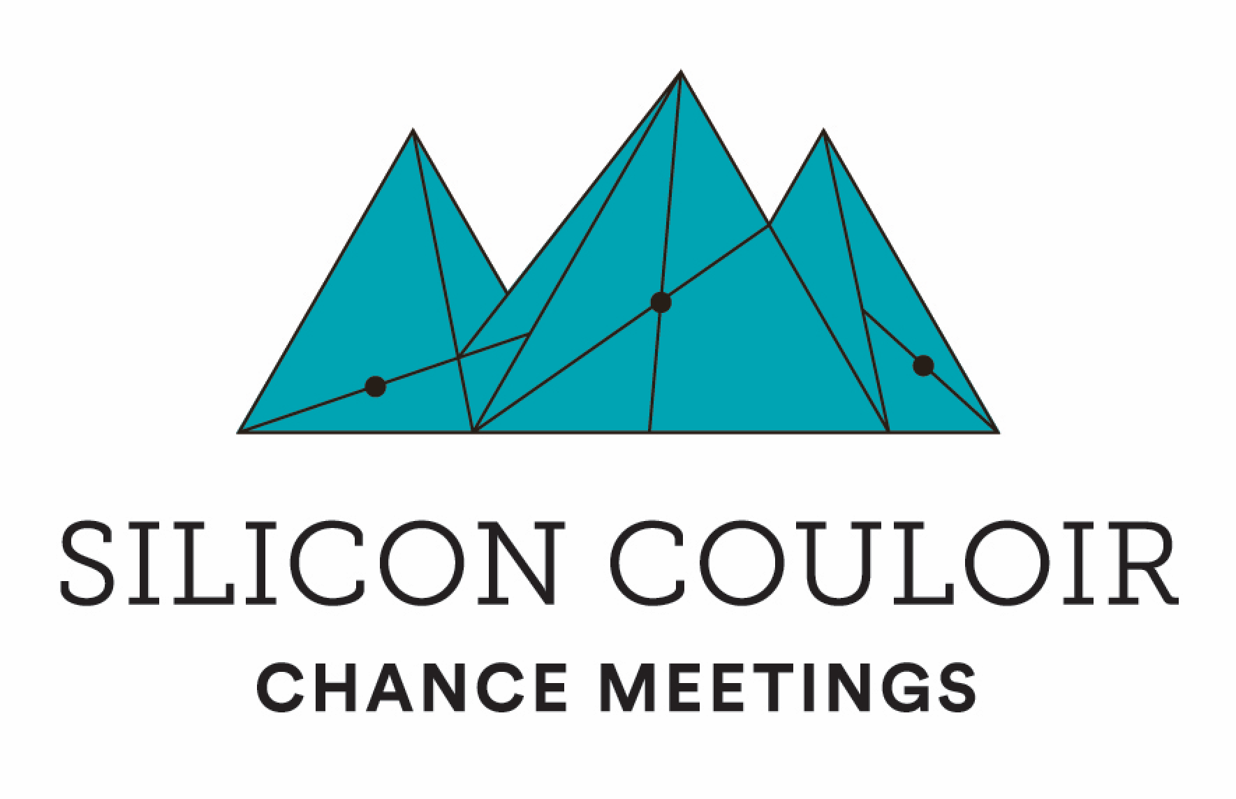 Crisis coaches see hope for businesses Silicon Couloir helps COVID-hit entrepreneurs remember the basics.