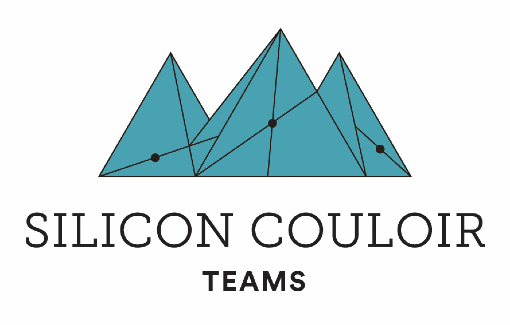 TEAMS Accepting New Ventures