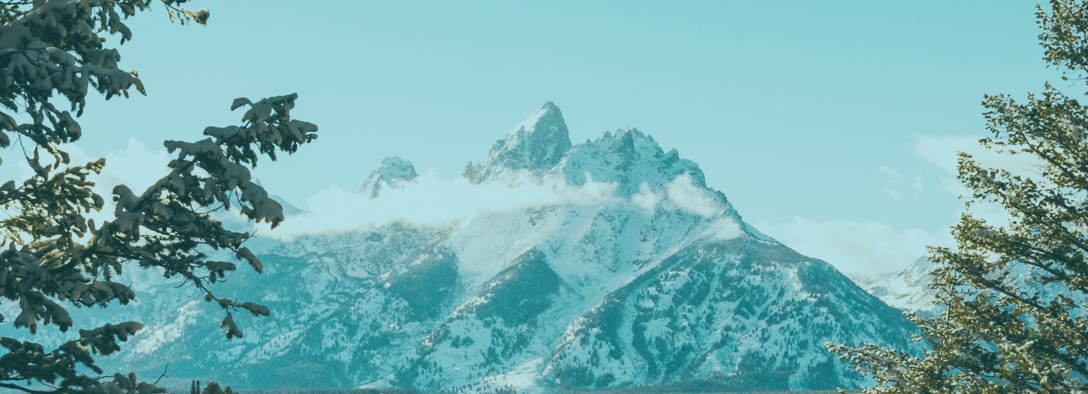 trustee-hero-tetons-silicon-couloir (1).jpg