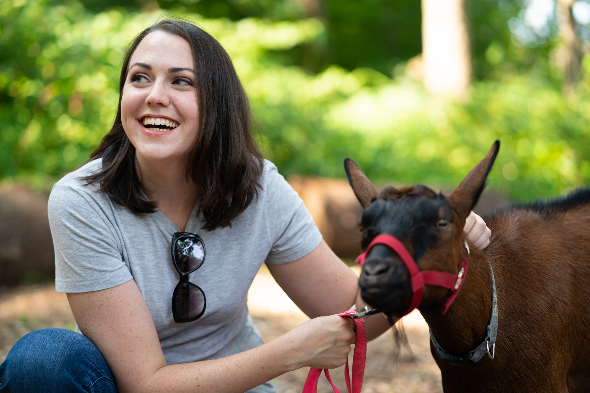 The wonderful Philadelphia Goat Project provides, among other things, free goat walks. Through the streets of Philadelphia. Because why not.
