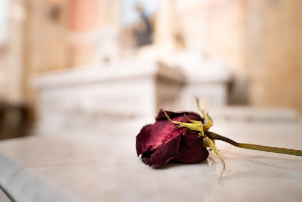 From the National Shrine of Saint Rita of Cascia . More from the shrine here.
