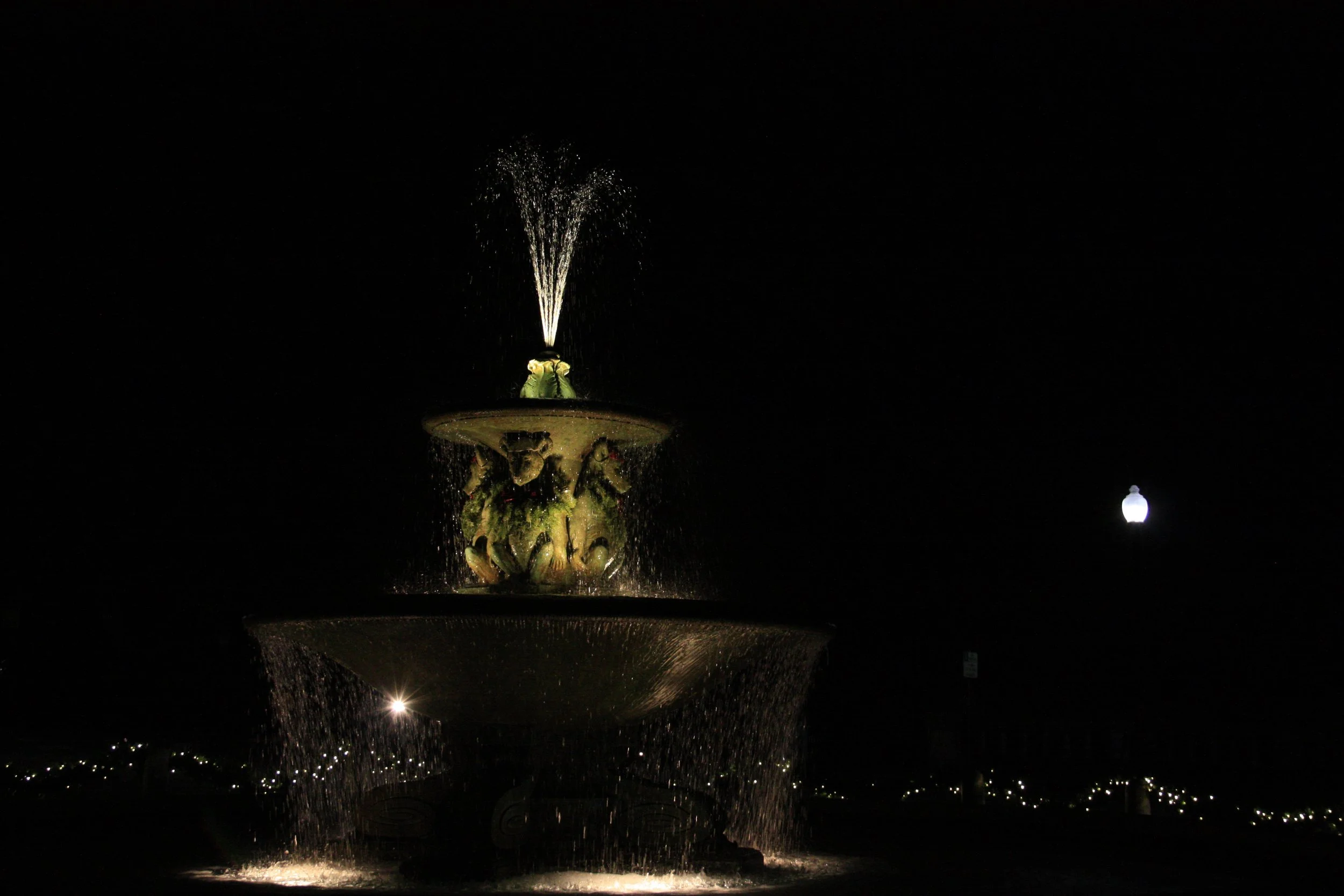 bears showering web.jpeg