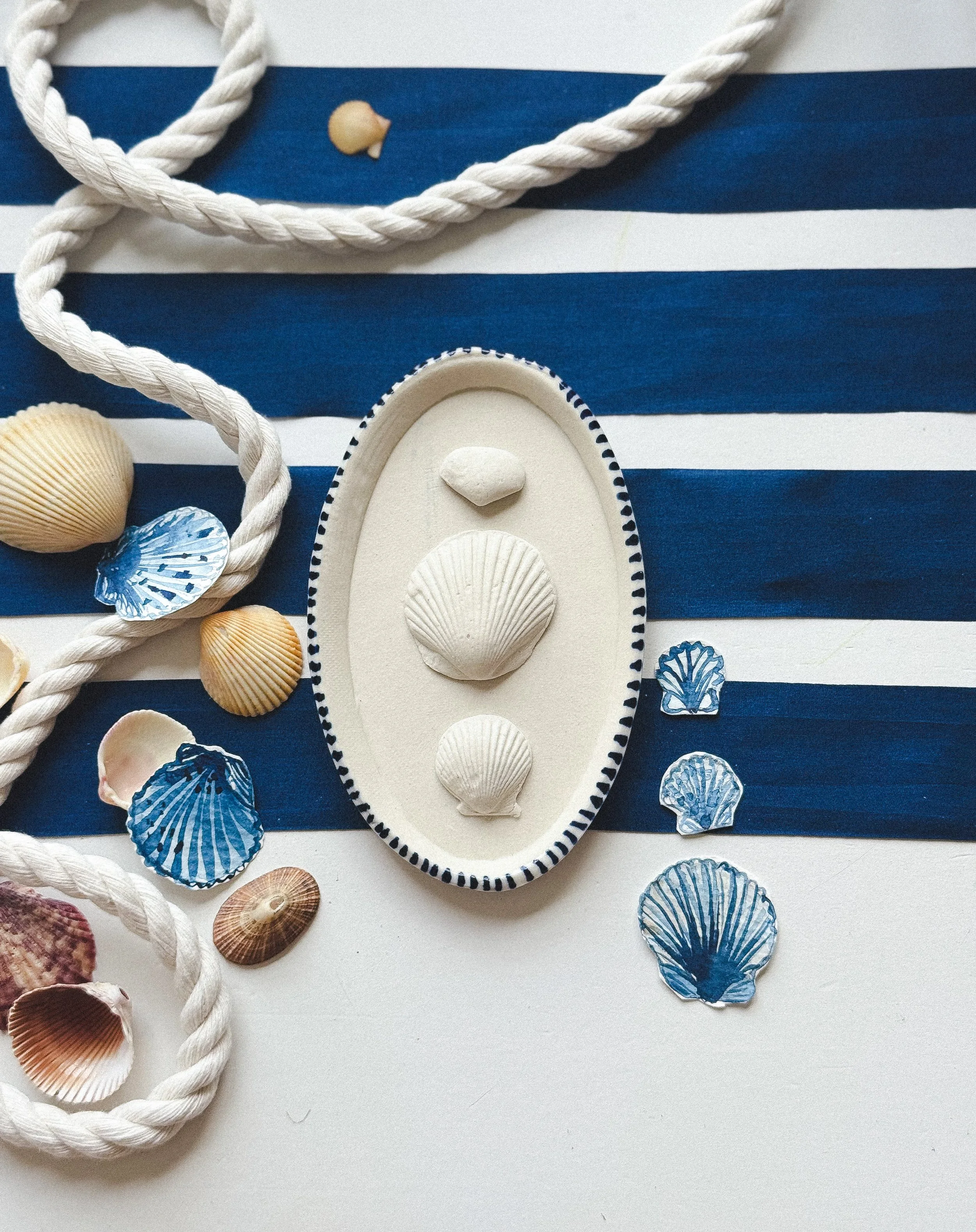 Raw Shell Study no. ii:  Scallop and Clam