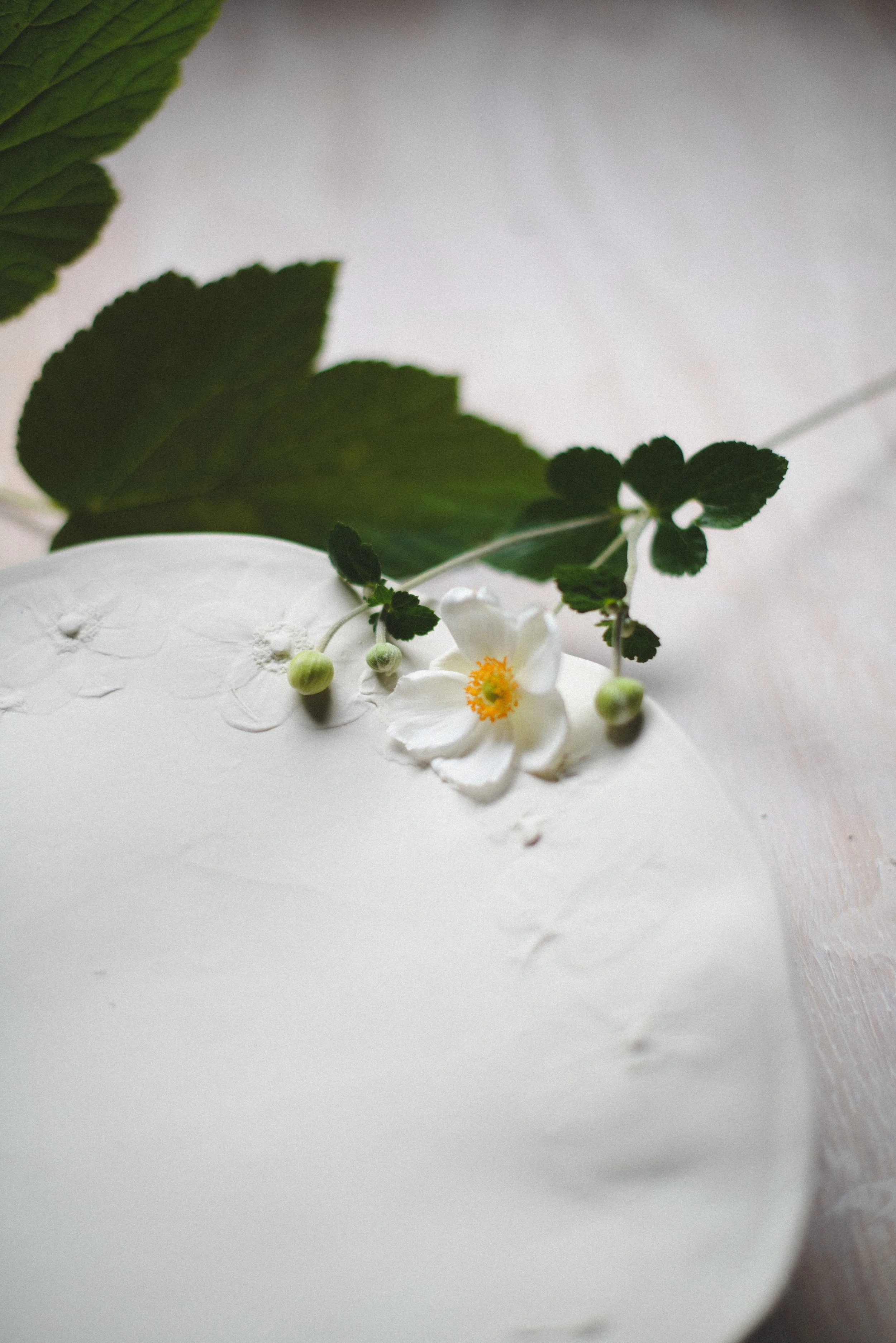 Pre-Order: The Anemone Sculpted Tray