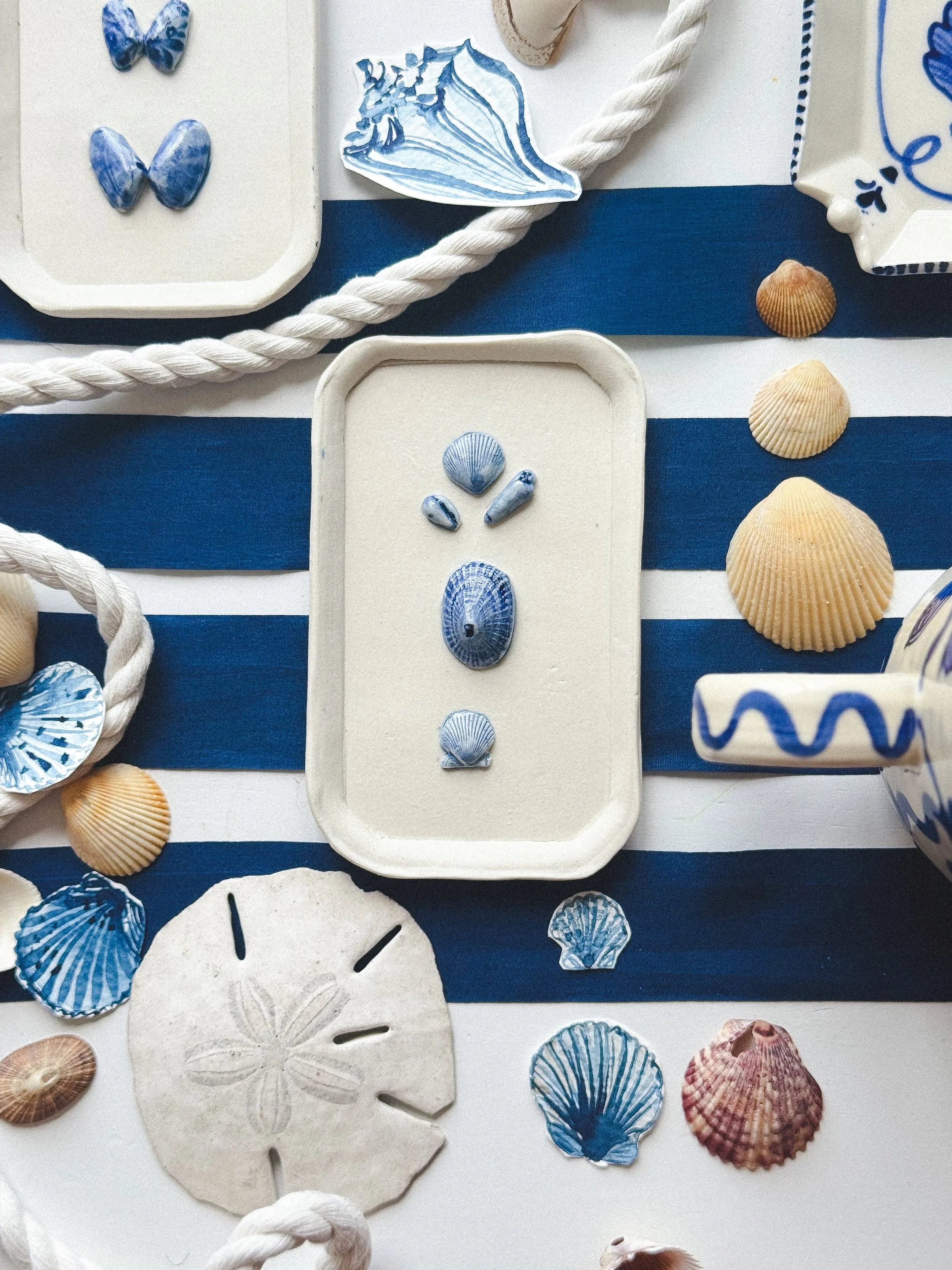 Shell Study no.i: Shoreline Specimens