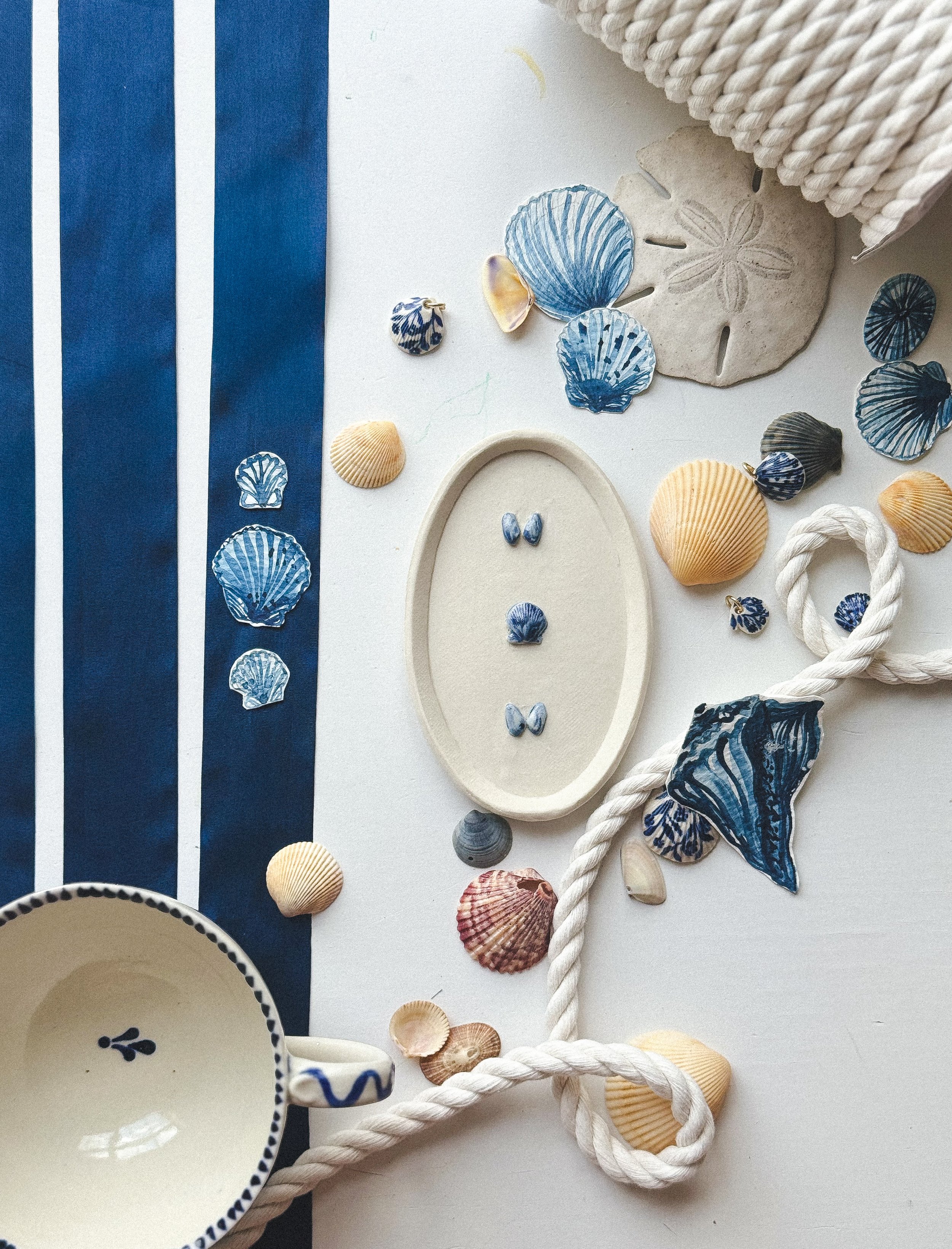Shell Study no. iii : Miniature Scallop and Clam