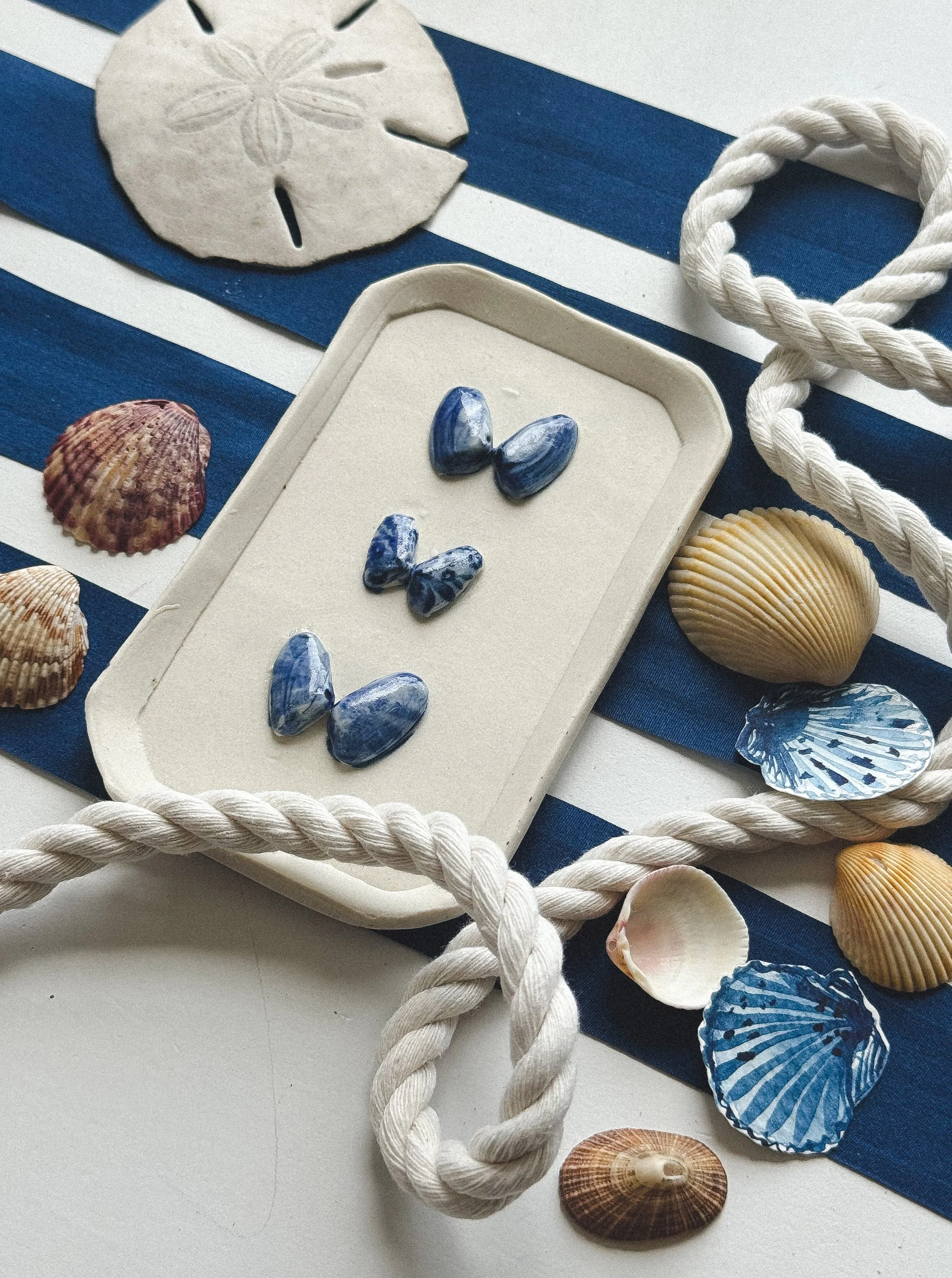 Shell Study no. ii : Butterfly Clams