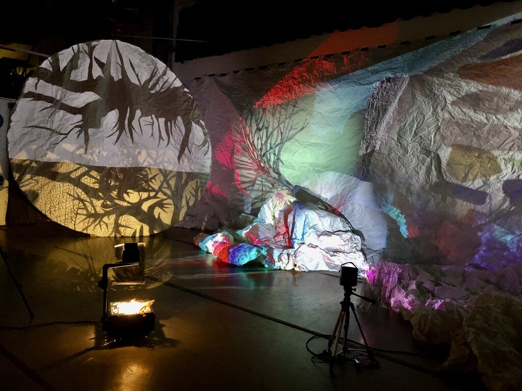 FacingWestShadow_The Endless End_03.jpeg