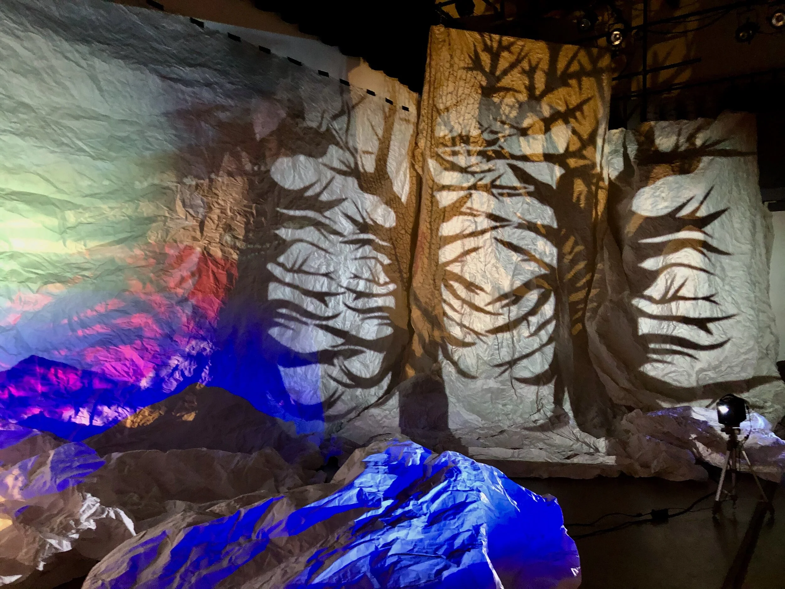 FacingWestShadow_The Endless End_04.jpeg