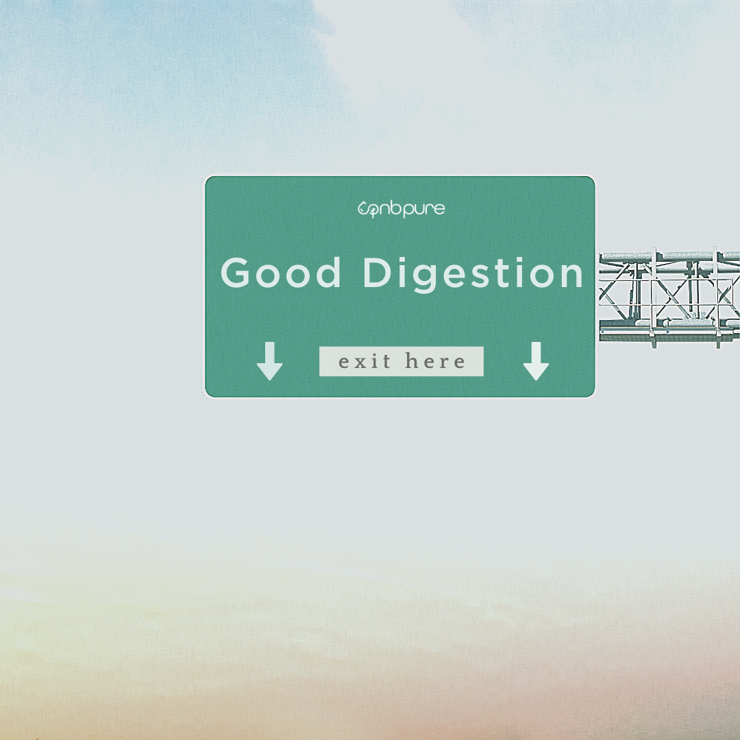 have a happy gut (1).png