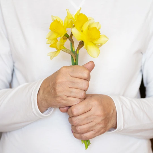 Gut Health During Menopause