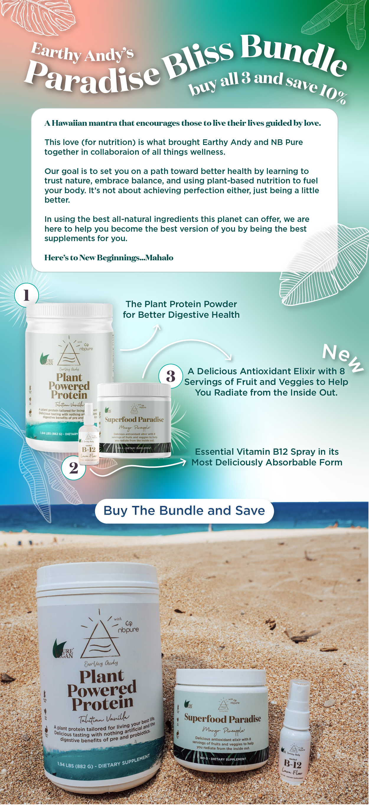 Email Flows_EA_SP_Launch_Email Flows 2.png