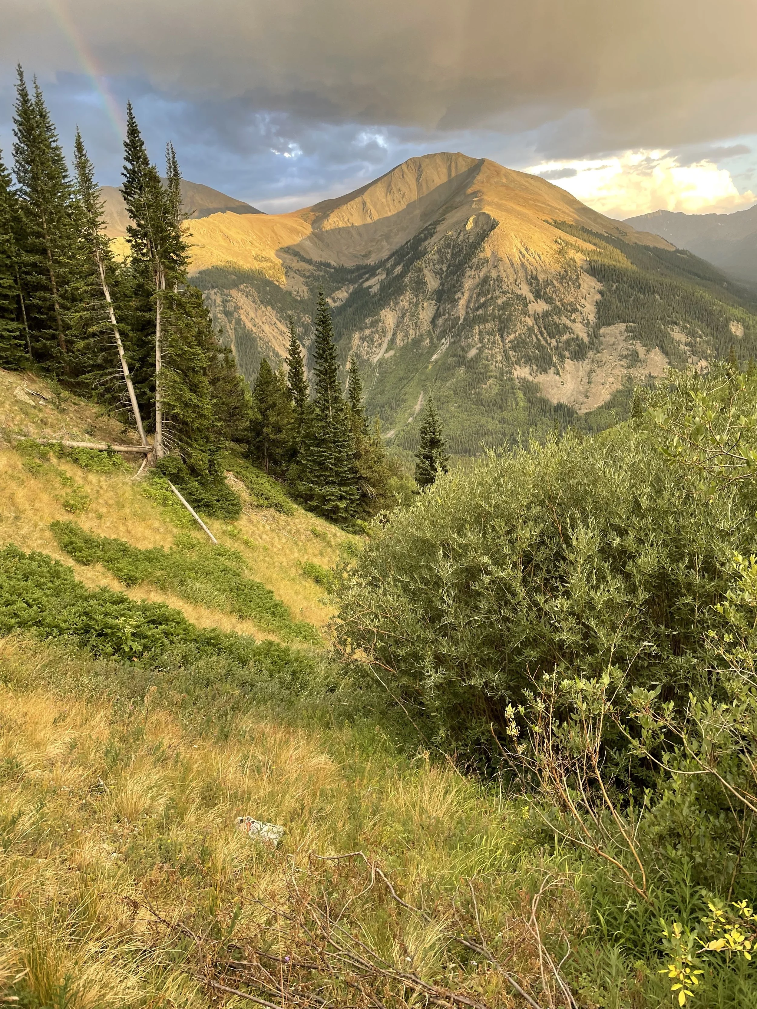 Athlete Burnout: How to Recognize It Before It's Too Late