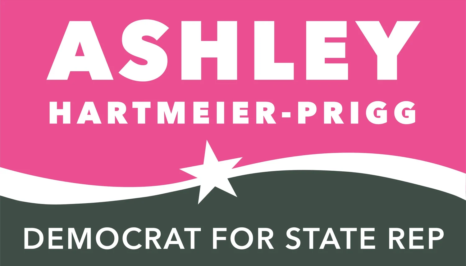 Ashley Hartmeier-Prigg Democrat for House District 27