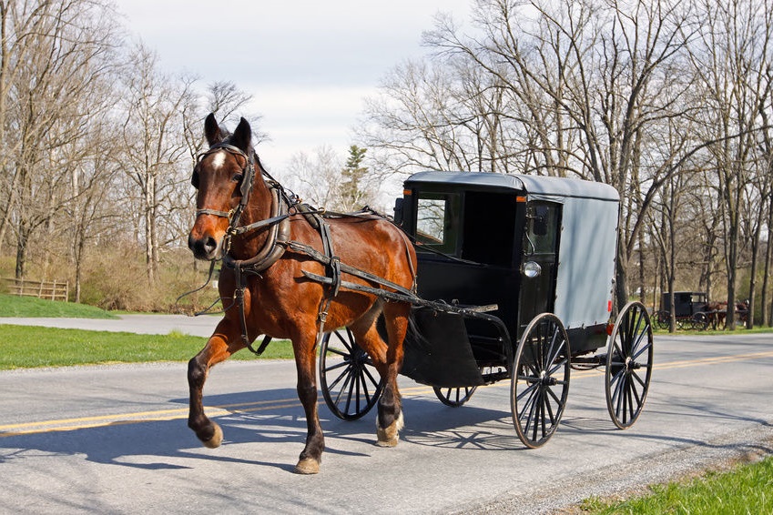 horse-buggy.jpg