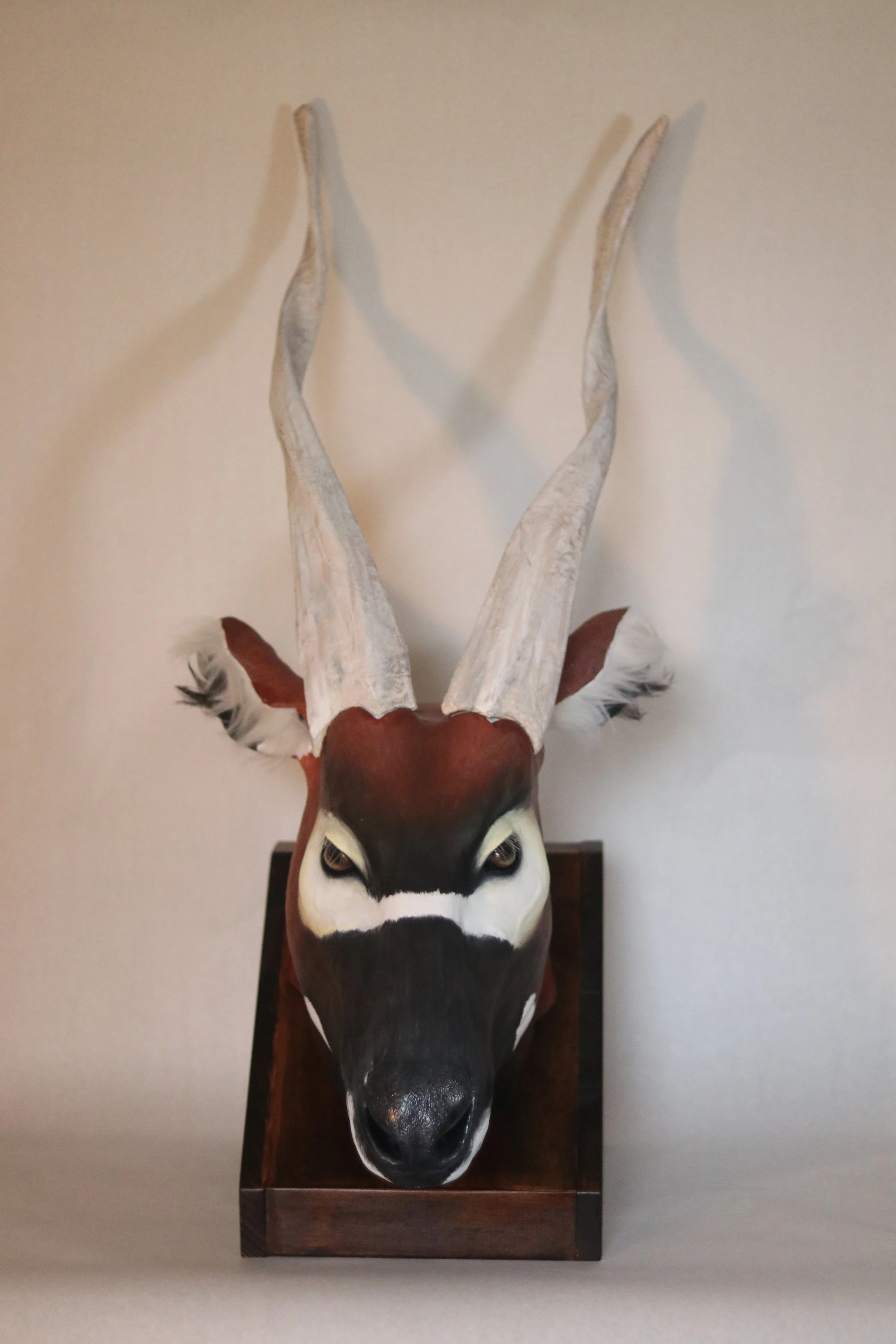 Bongo Head Model, 2019