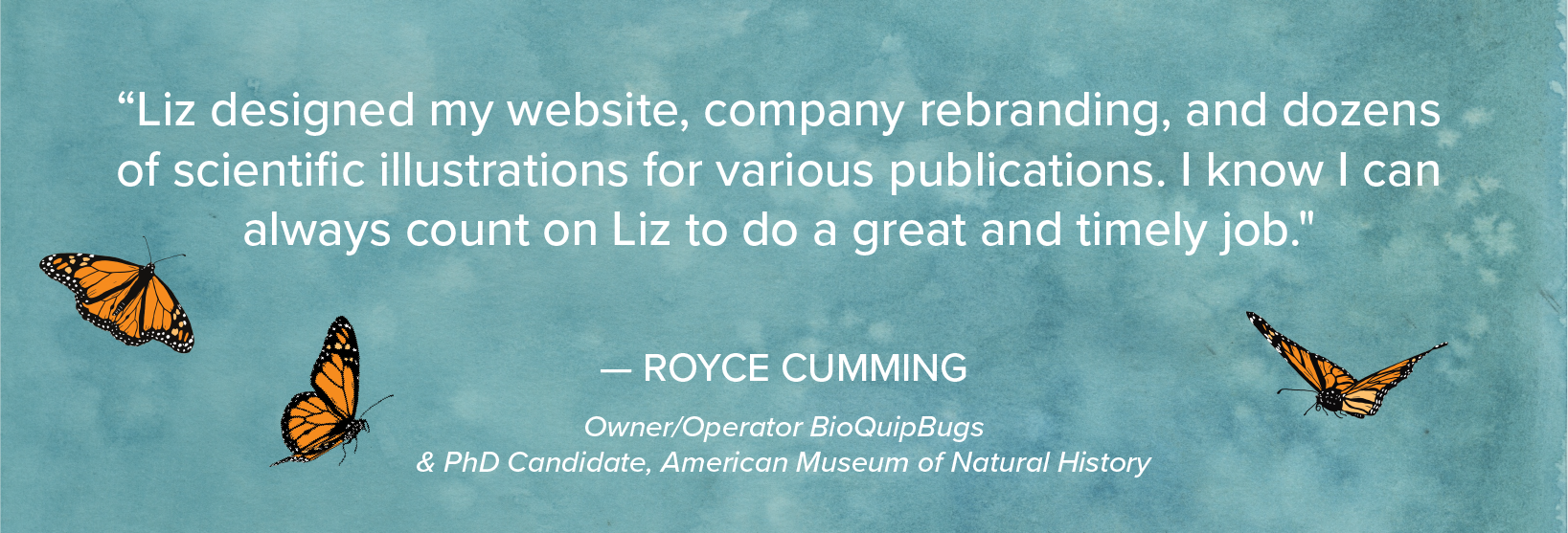 “Liz designed my website, company rebranding, and dozens of scientific illustrations for various publications. I know I can always count on Liz to do a great and timely job."