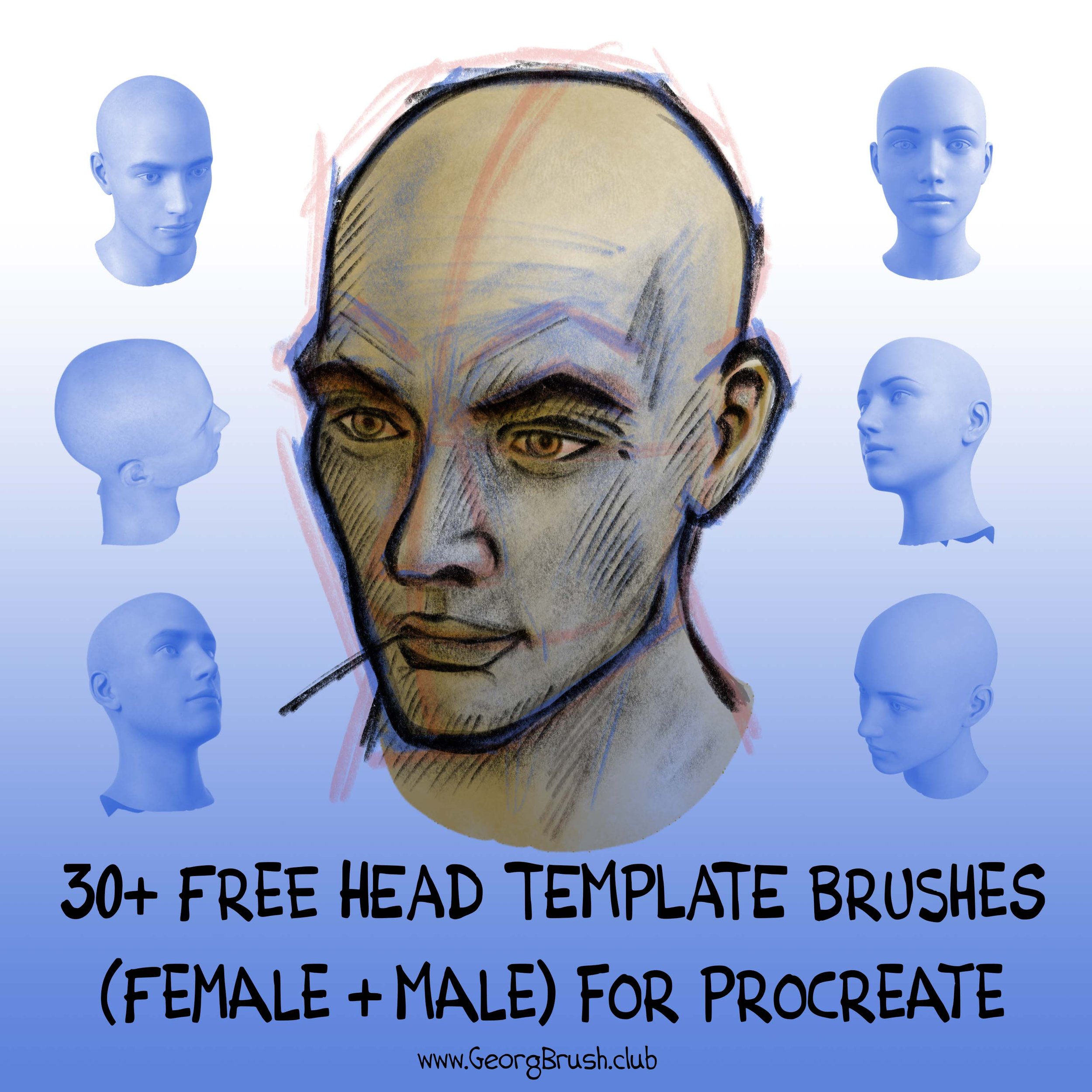 procreate head brush free