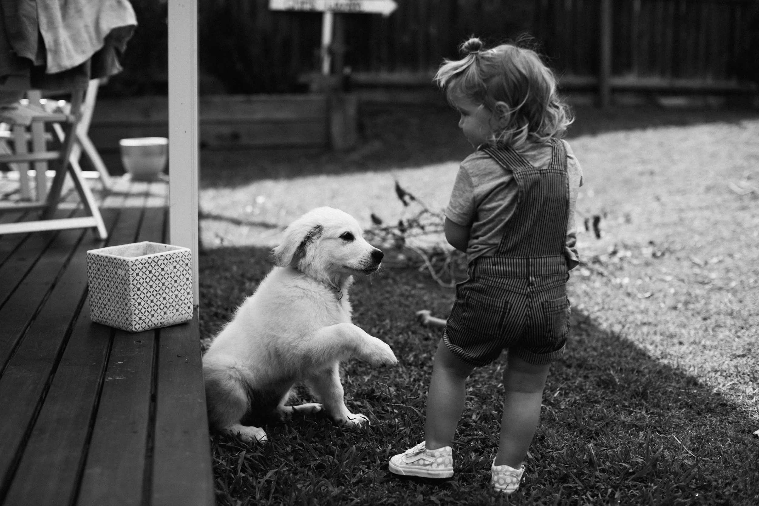 FUR FRIENDS // PORTRAITS