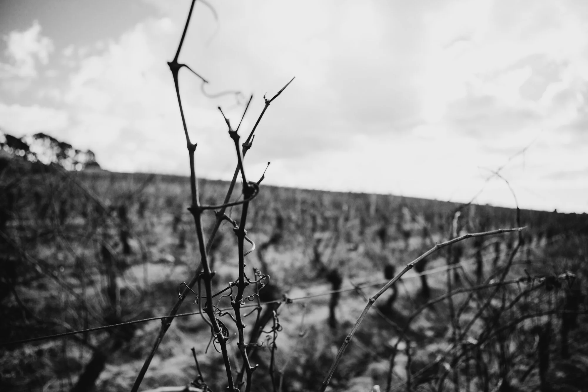 120731_emmaholcroft_25.JPG