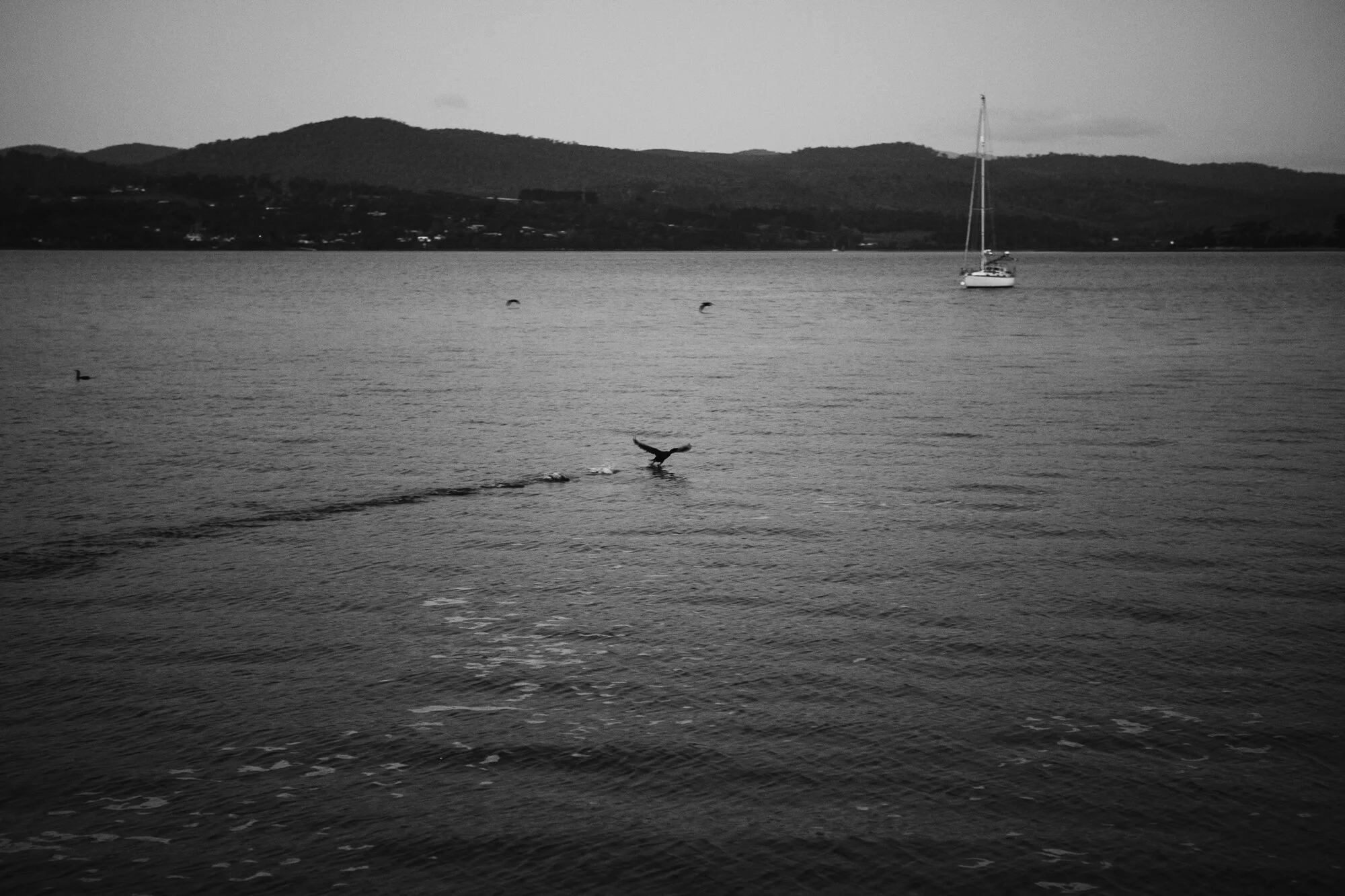 120731_emmaholcroft_44.JPG