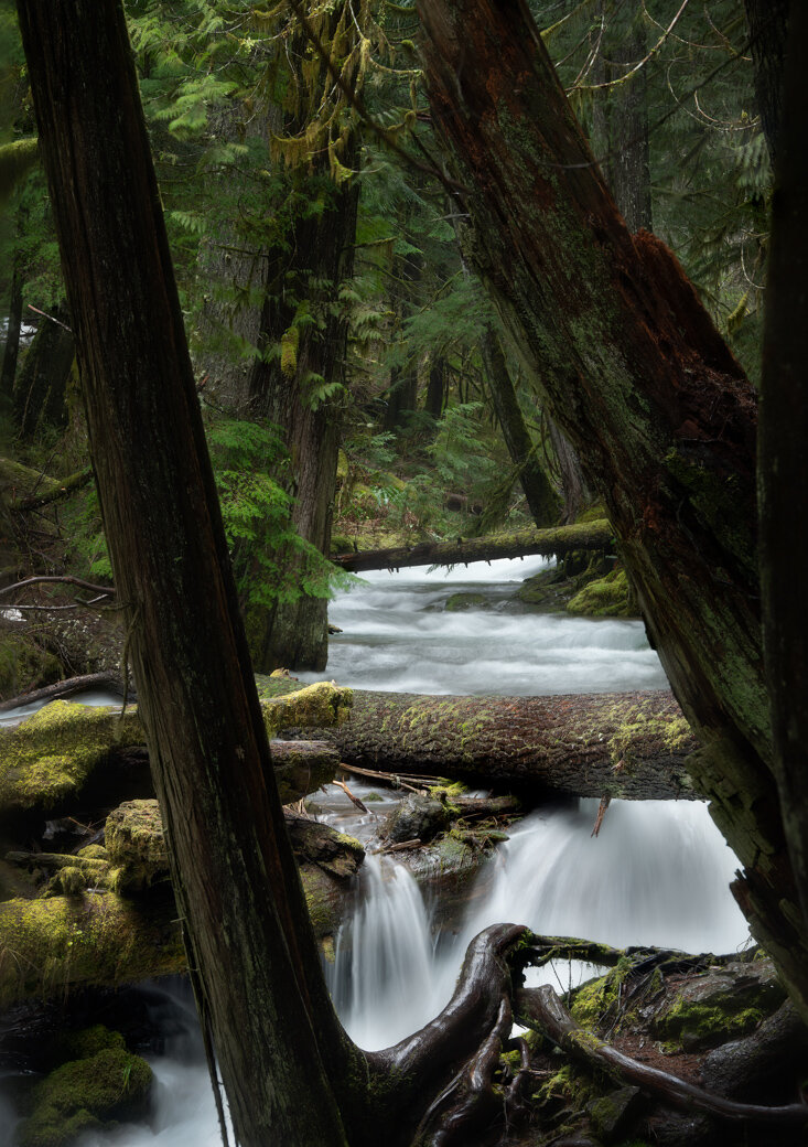 Panther Creek
