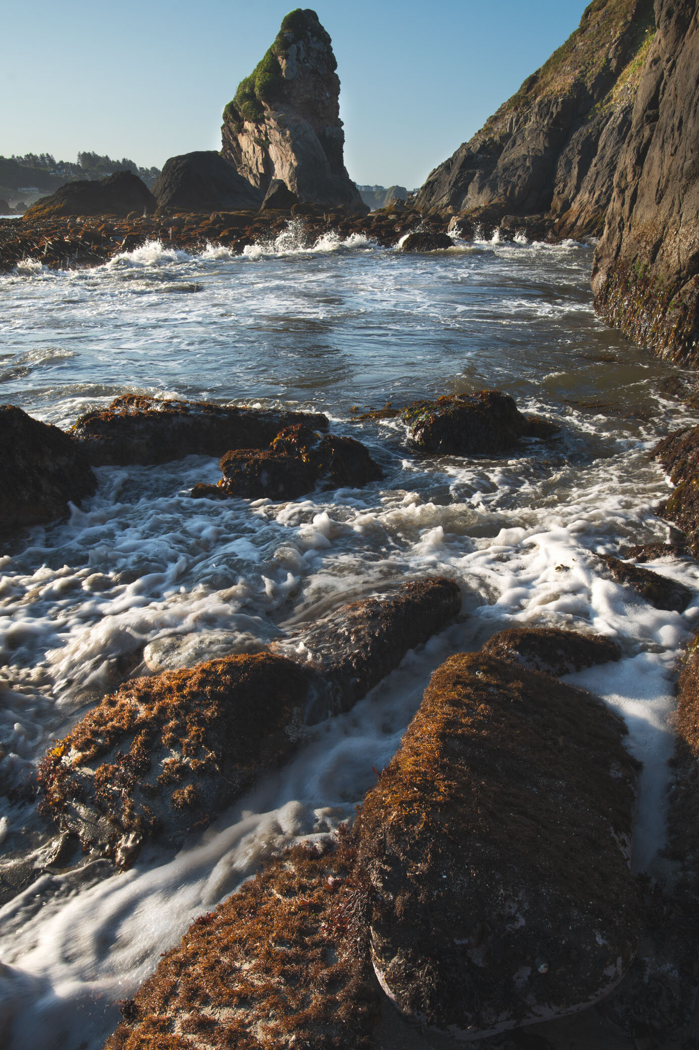 Harris Park Landscape photography