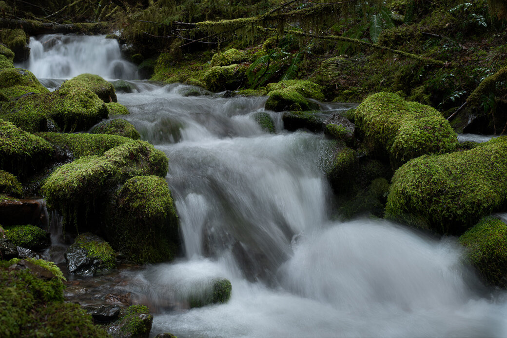 Cascade falls near Panther creek