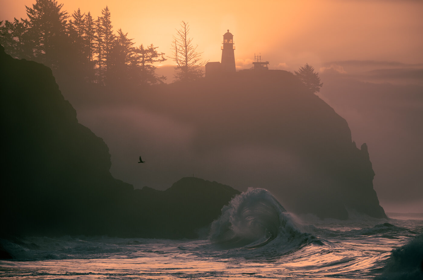 King Tide Sunrise