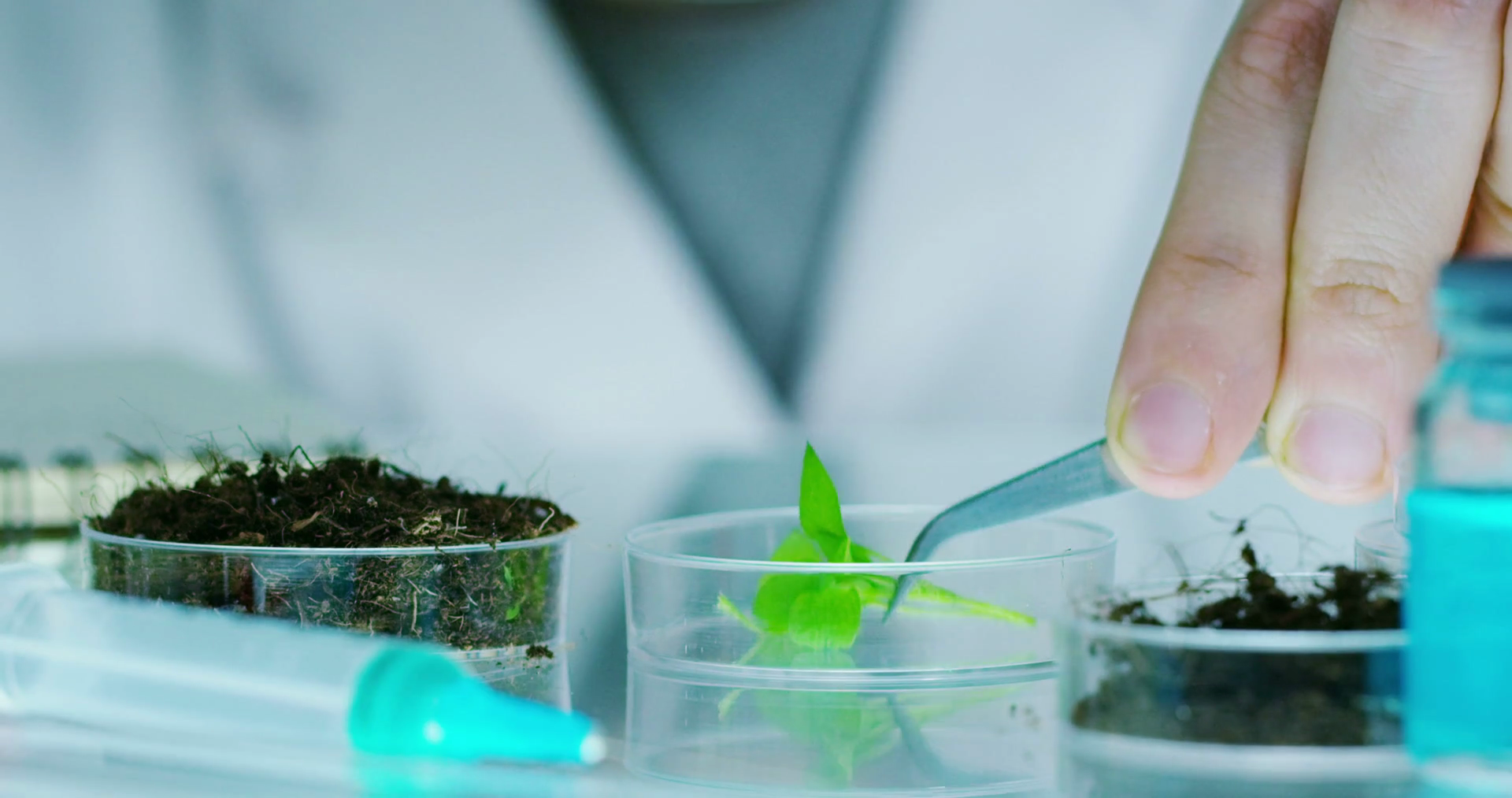 a-scientist-in-a-laboratory-analyzes-the-soil-and-the-plants-inside-to-collect-the-plant-dna-concept-analysis-dna-bio-microbiology-augmented-reality-biochemistry-immersive-technology_hnfa0zmjyl_thumbnail-full01.png