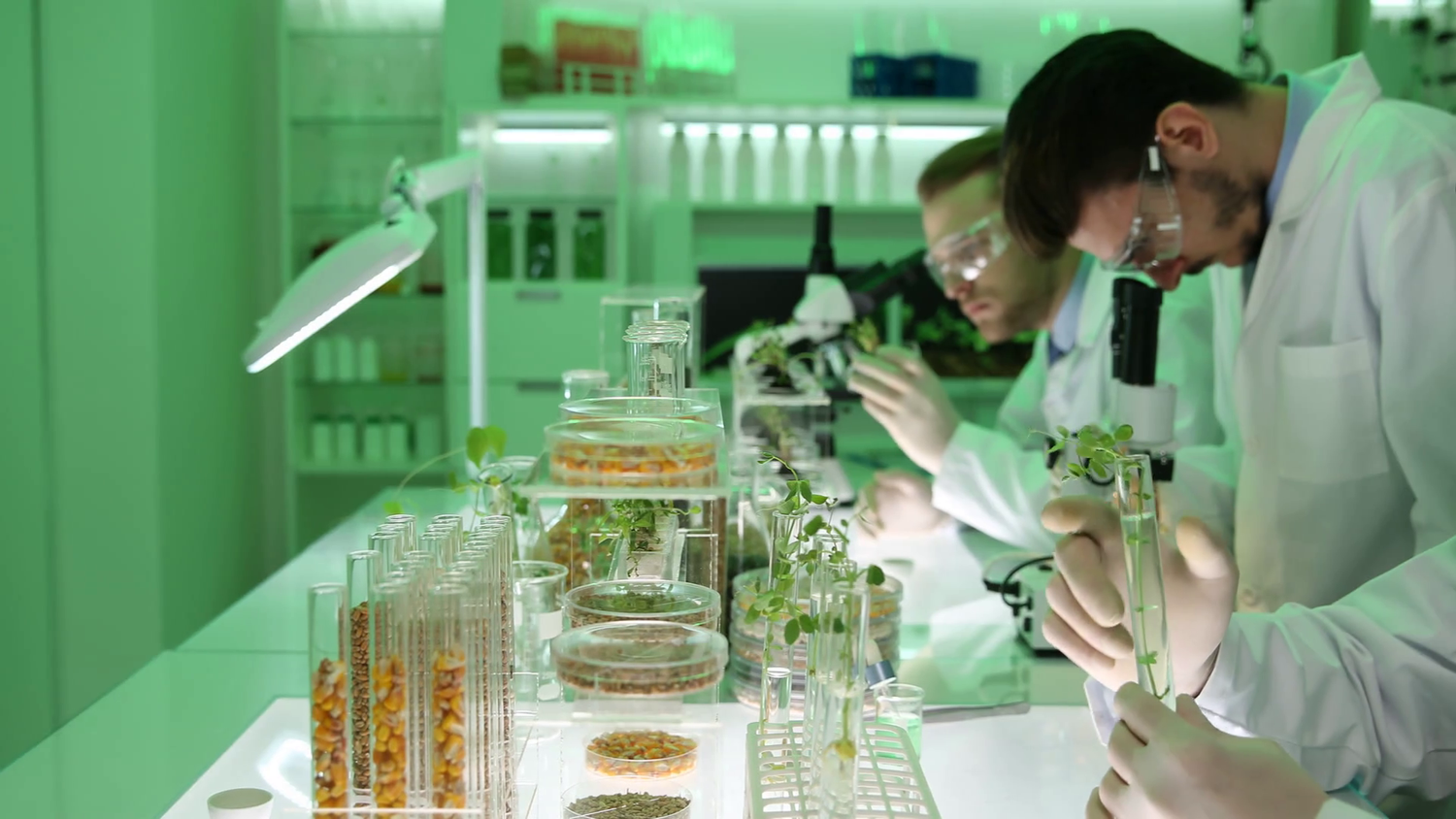 Ученые отмечают что в высокоразвитых странах на первый план выходят биотехнологии