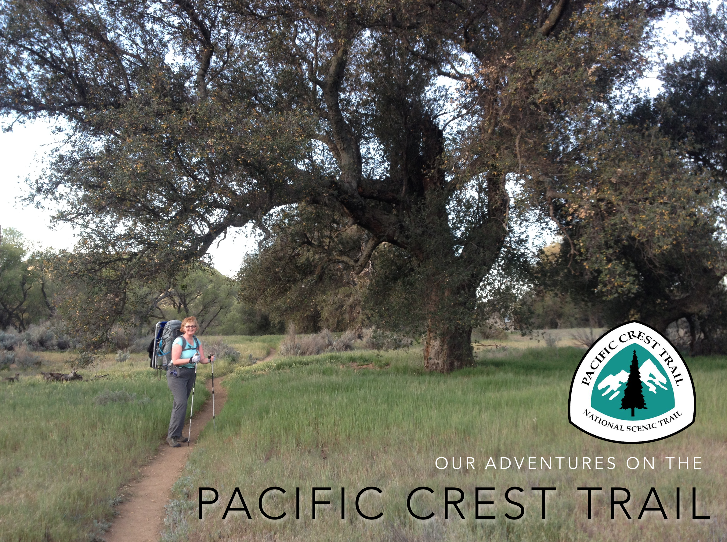 hiking the pct.png