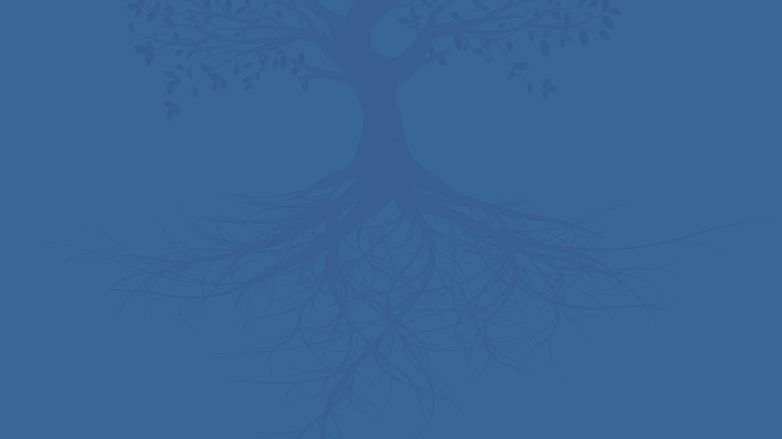 Rootgs Bg blue.jpg