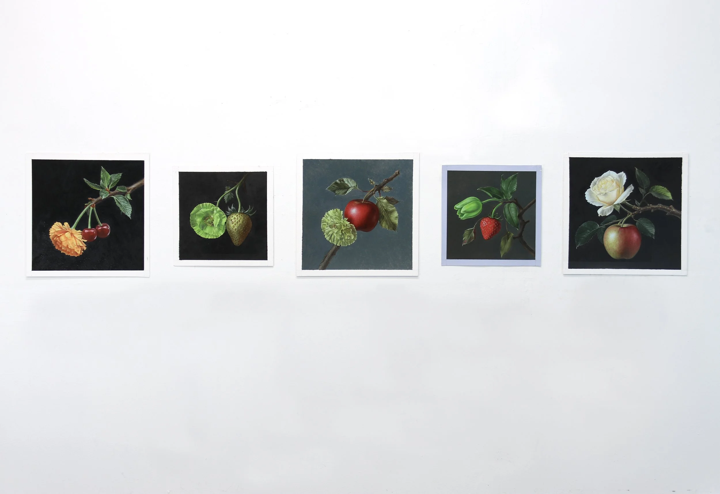 Five Botanical Studies