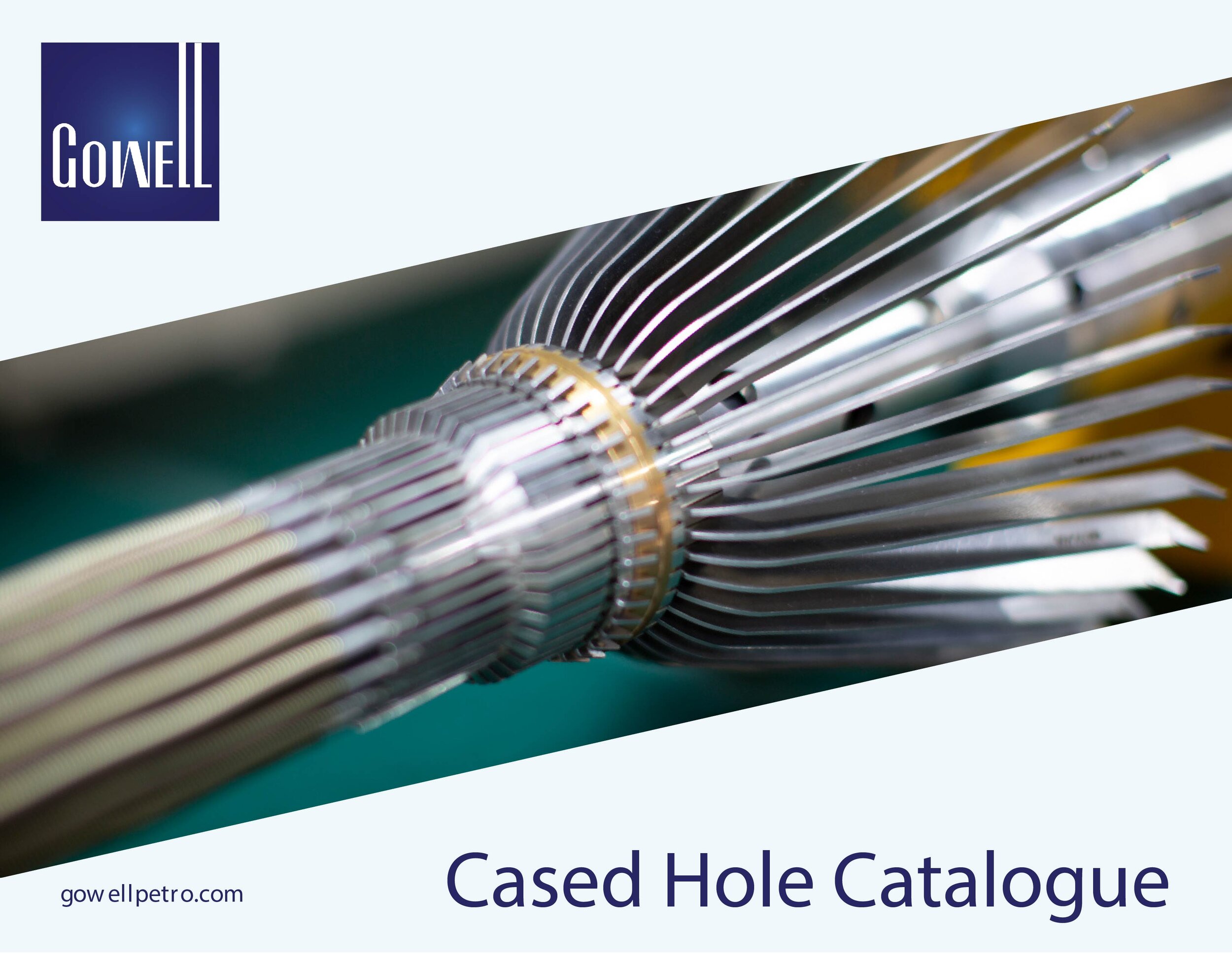 SDS Products-Cased Hole System