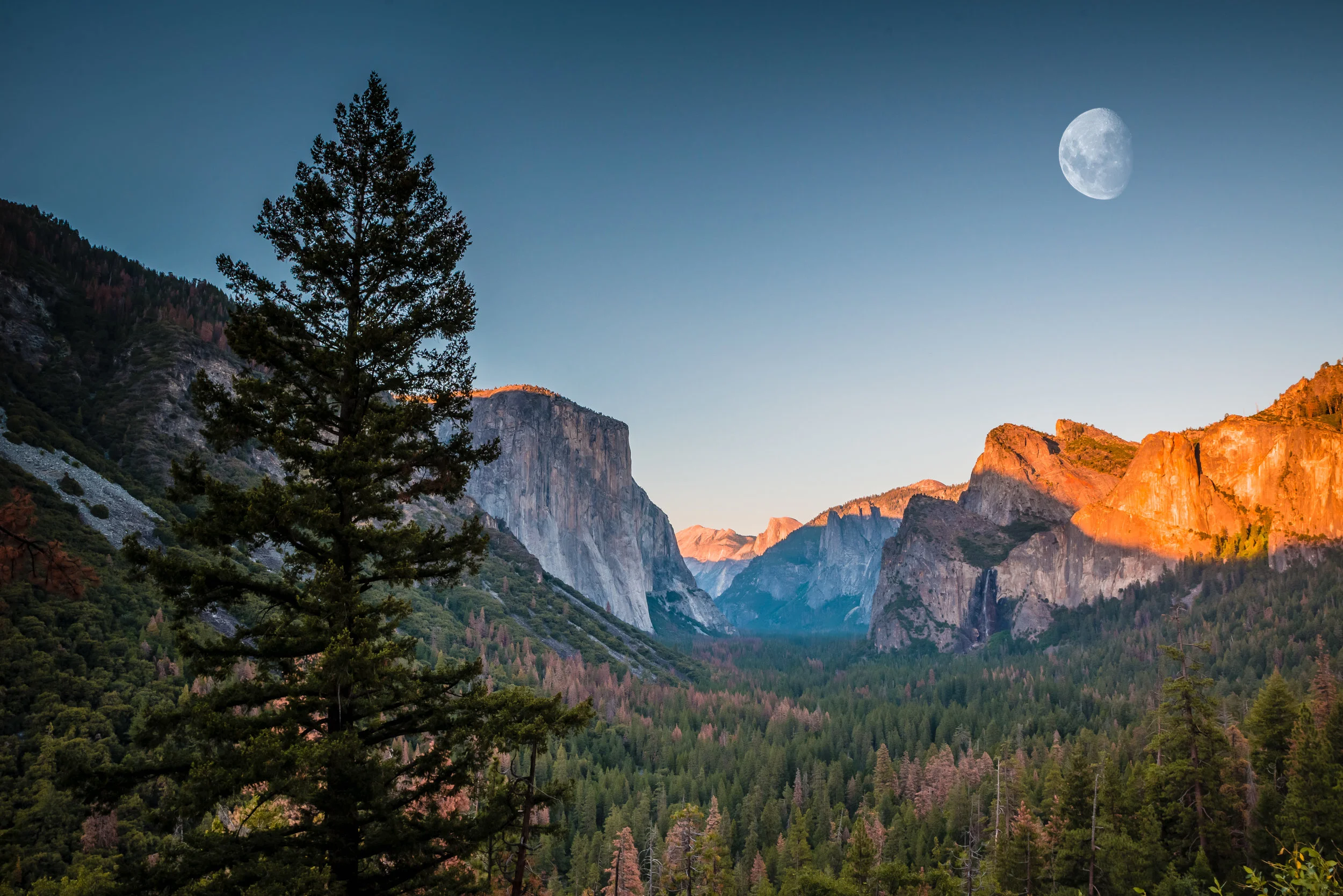 DSC_9381-HDR6.jpg