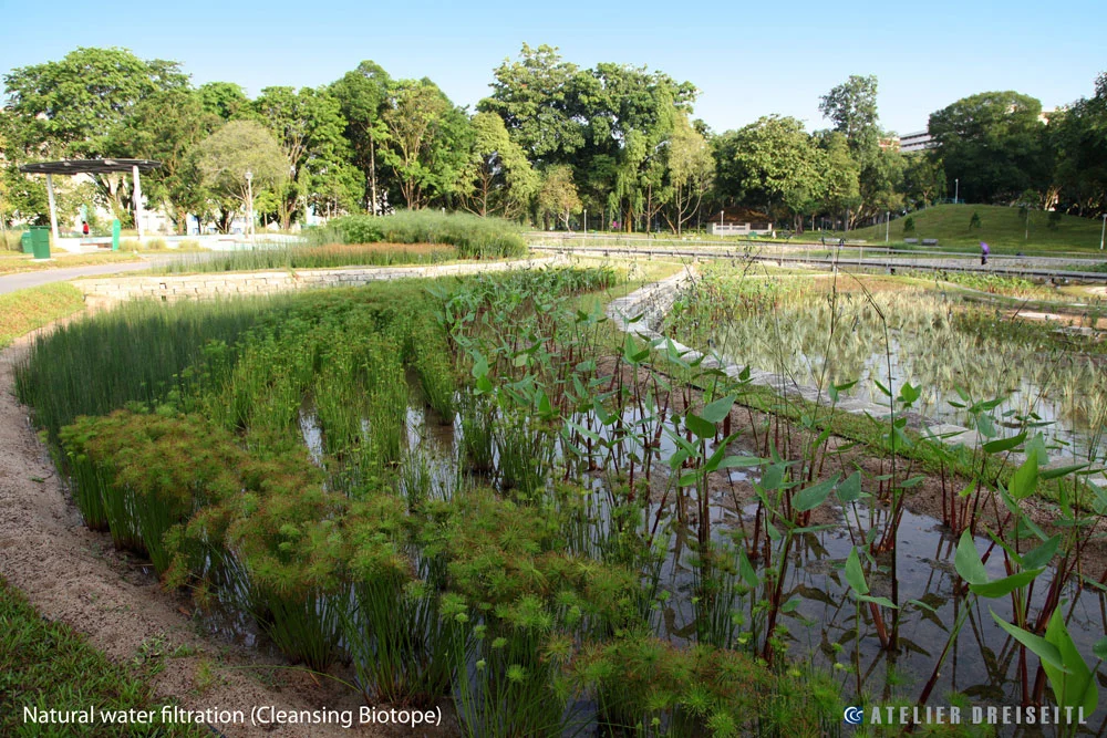 WALCITYOF1000TANKSImage54copyrightAtelier-Dreiseitl-Bishan-Park-36.jpg