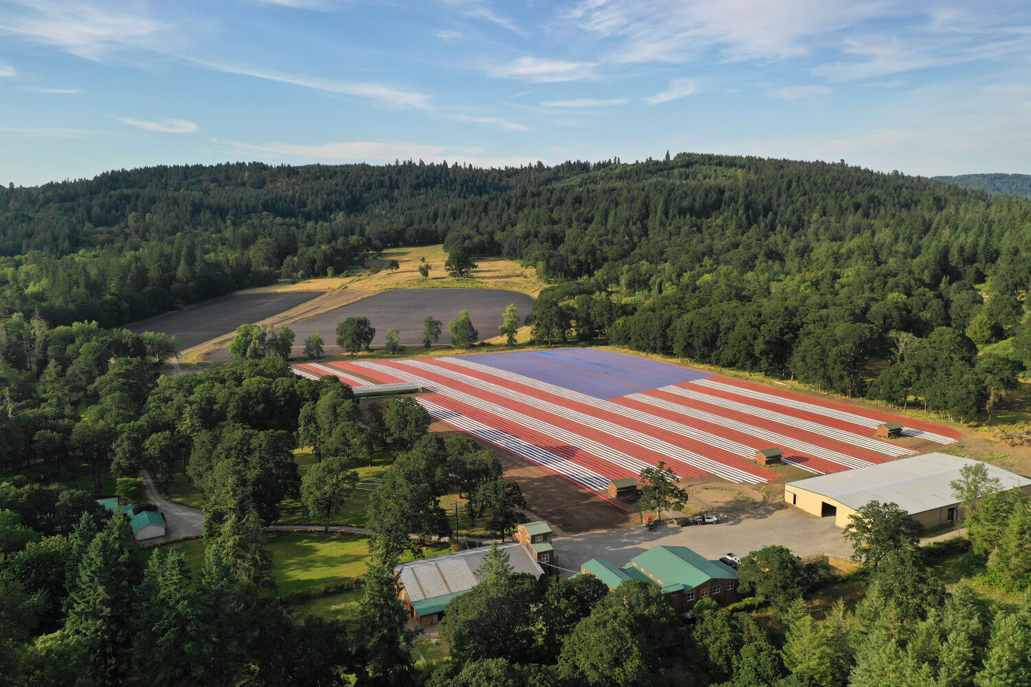 Hemp Harvesters About Us — USA Hemp Harvesting