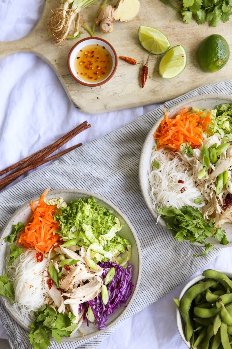 Asian Noodle Salad Vertical Stripe 2 Bowls.jpg