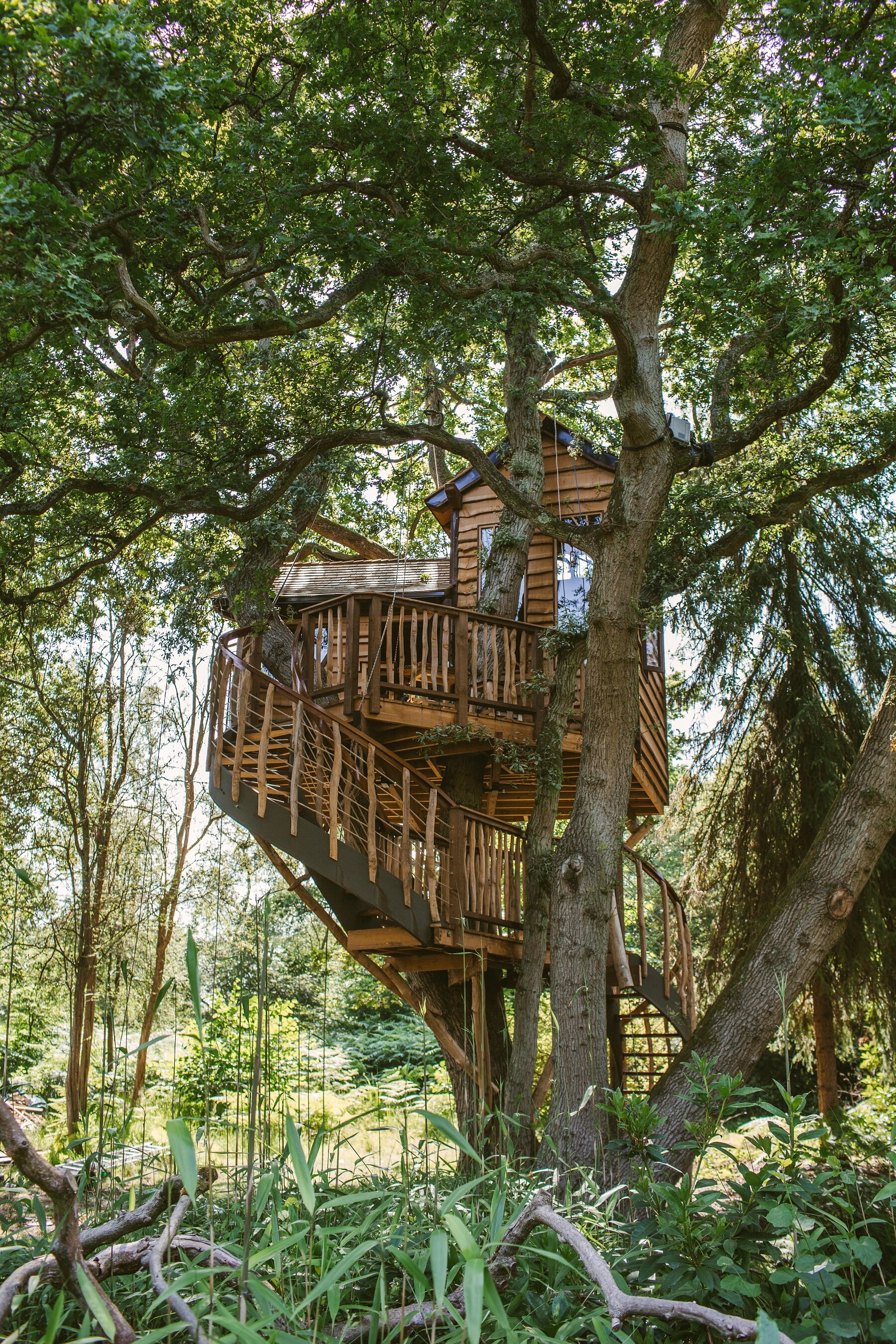 Gracious treehouse, view through the forest
