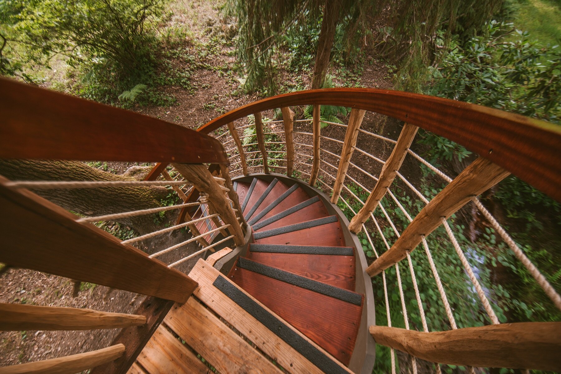 Gracious treehouse looking down the curved staircase