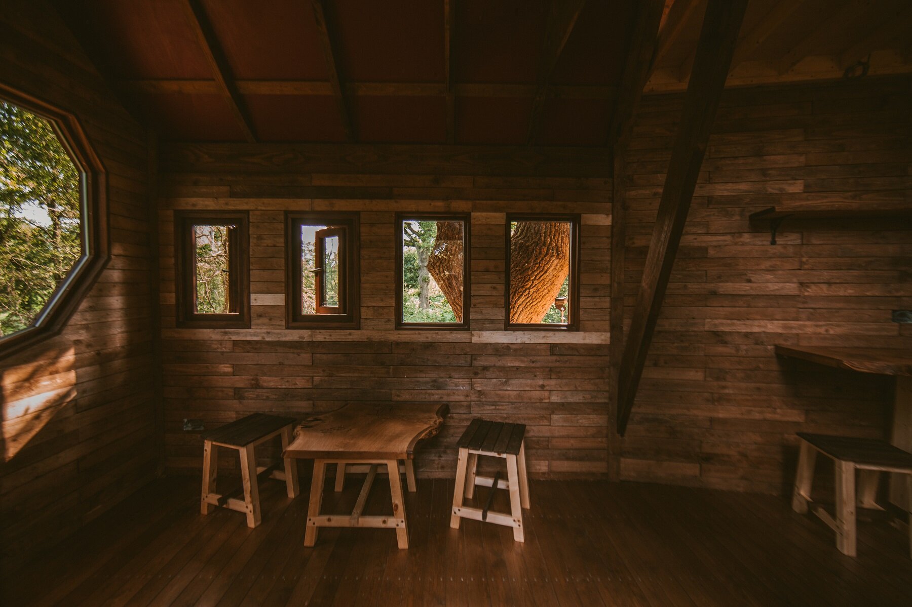 Gracious treehouse, internal furnishings