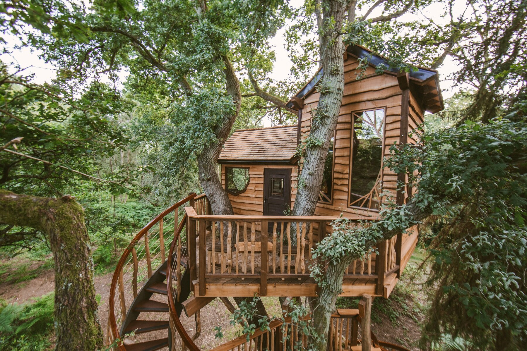 Gracious treehouse wide photo from front