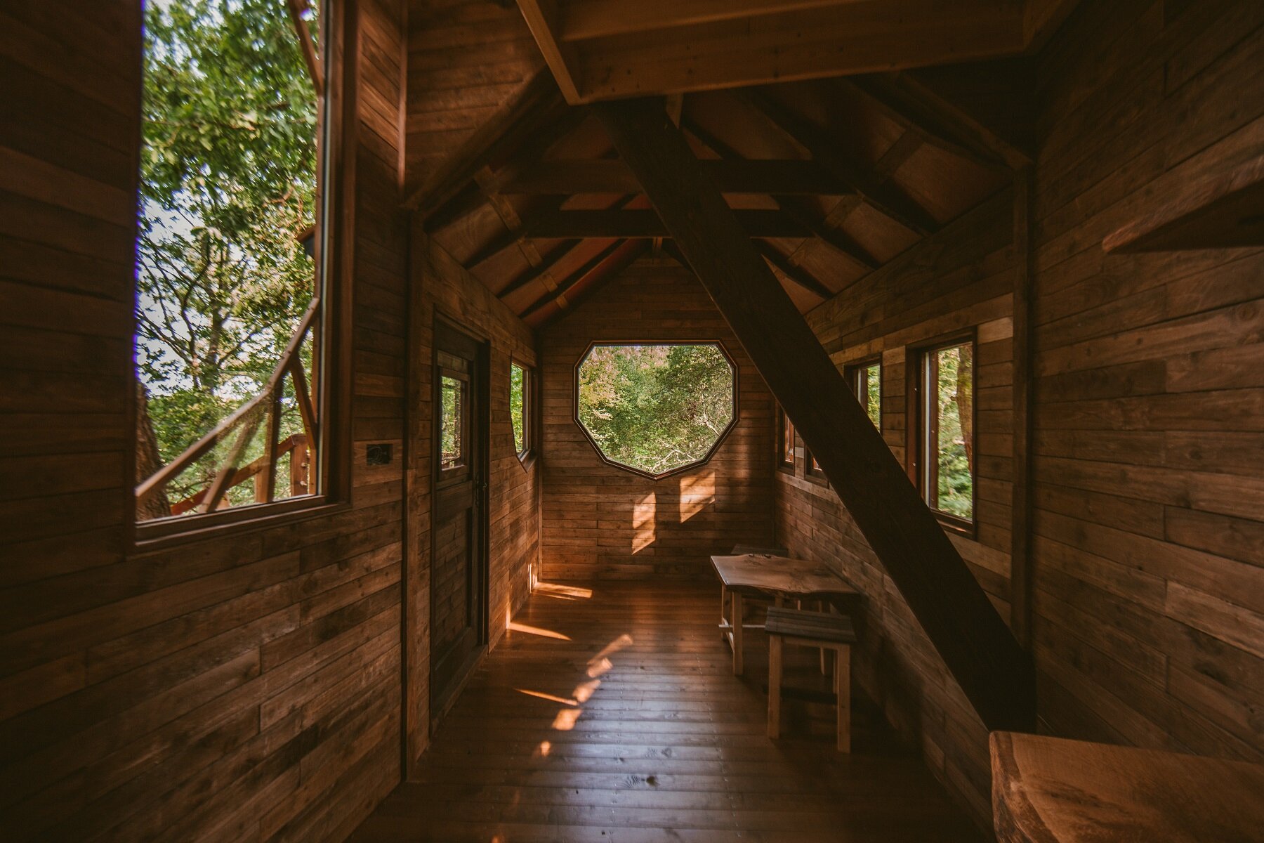 Gracious treehouse internal shot with custom windows