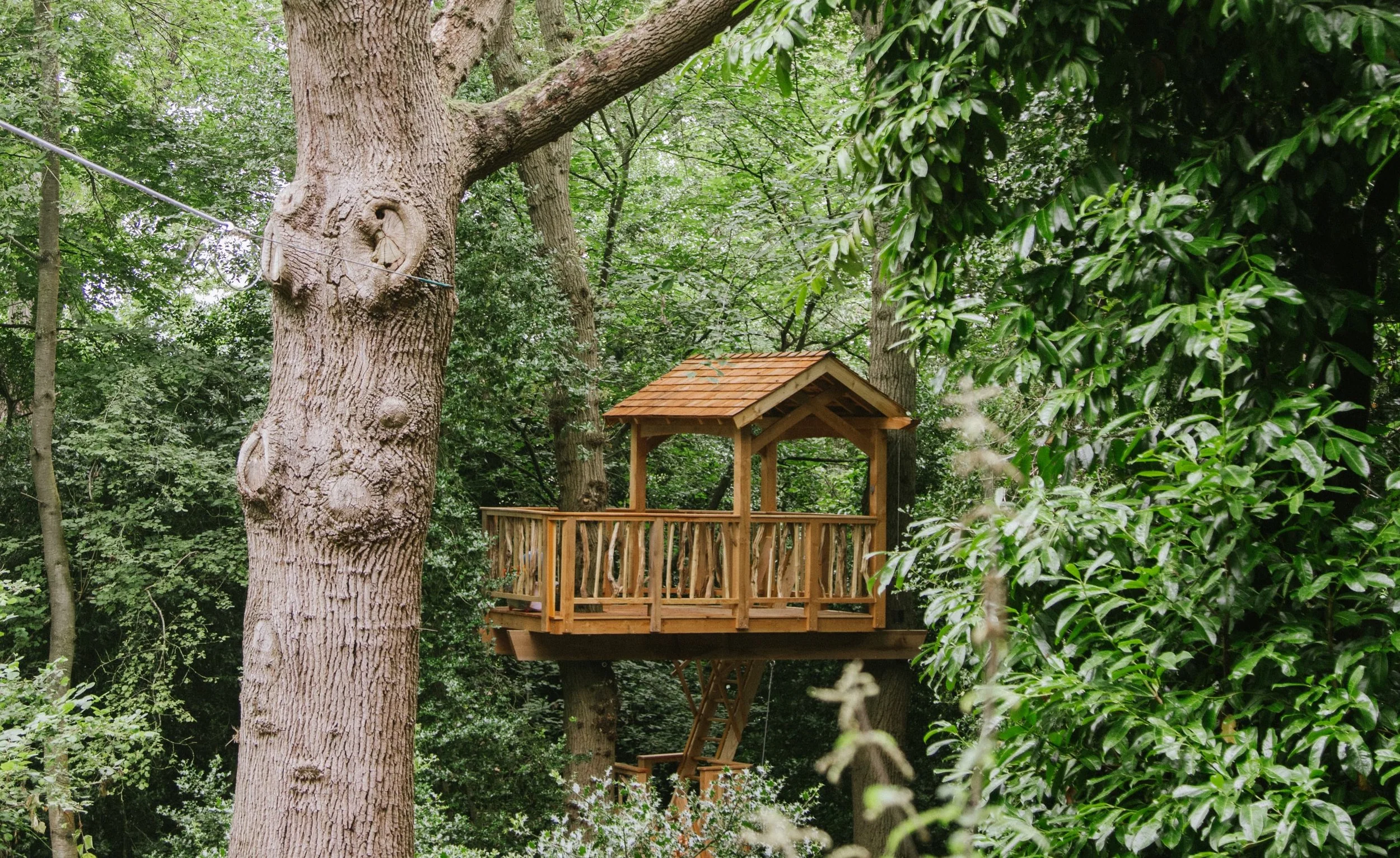 Fox Treehouse