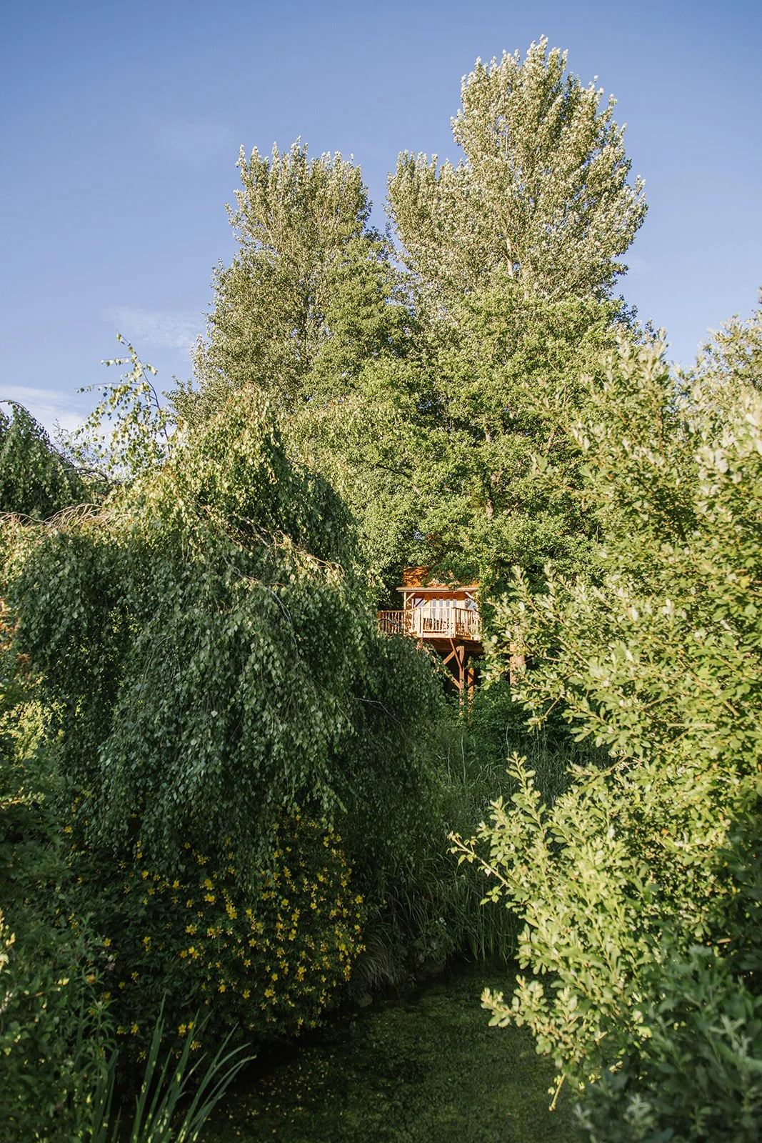 PondFarmCottages_Radstock_TreetopCo_July26_03.jpg