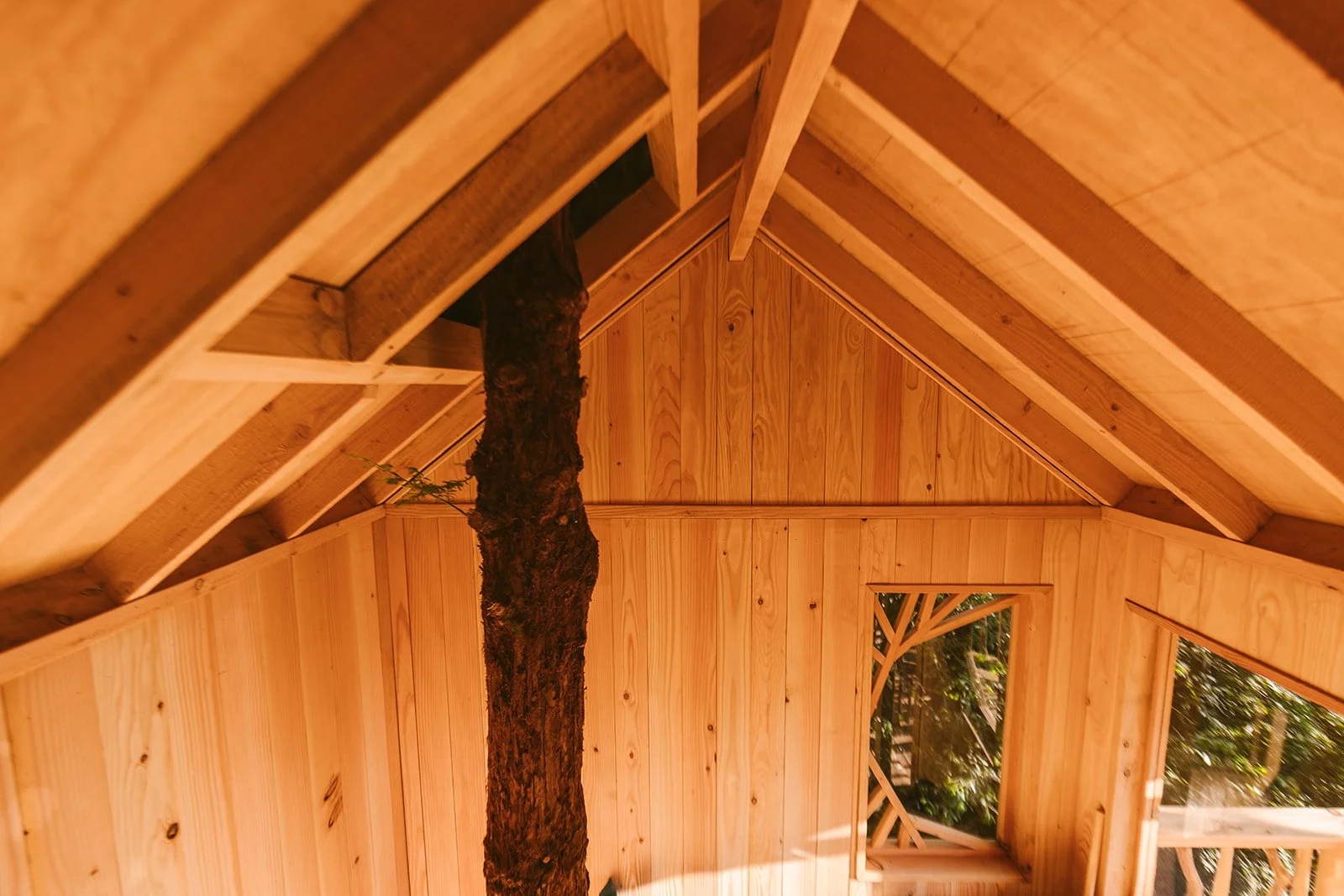 PondFarmCottages_Radstock_TreetopCo_July26_073.jpg