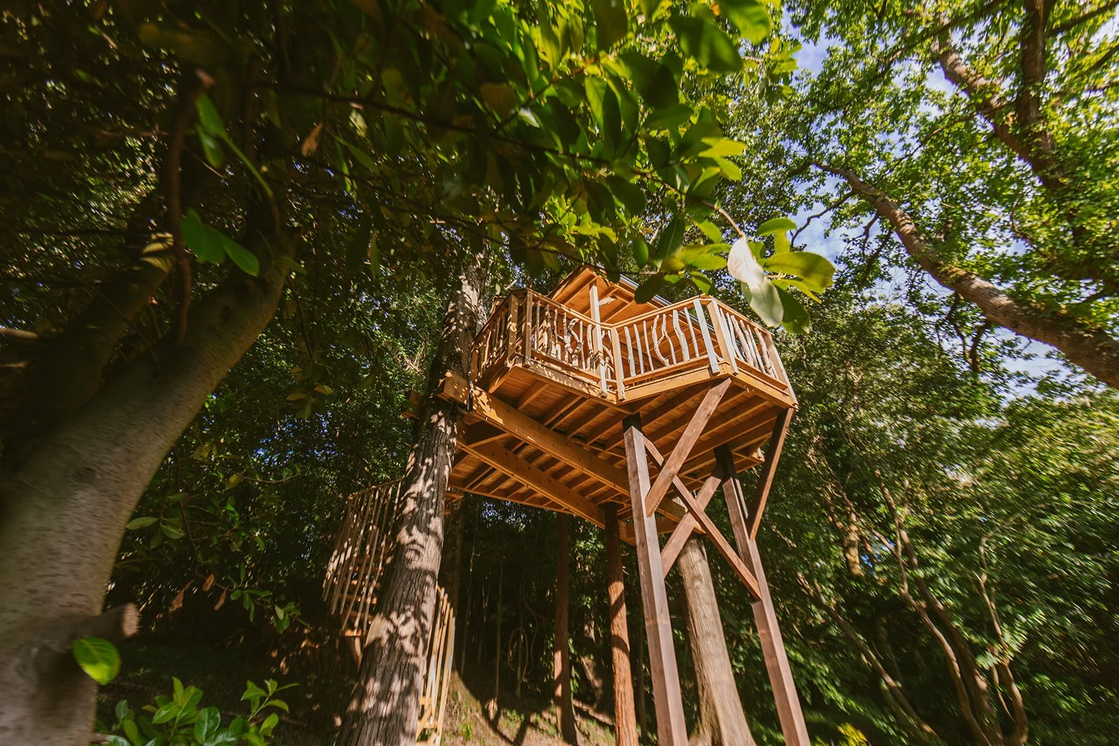 PondFarmCottages_Radstock_TreetopCo_July26_094.jpg